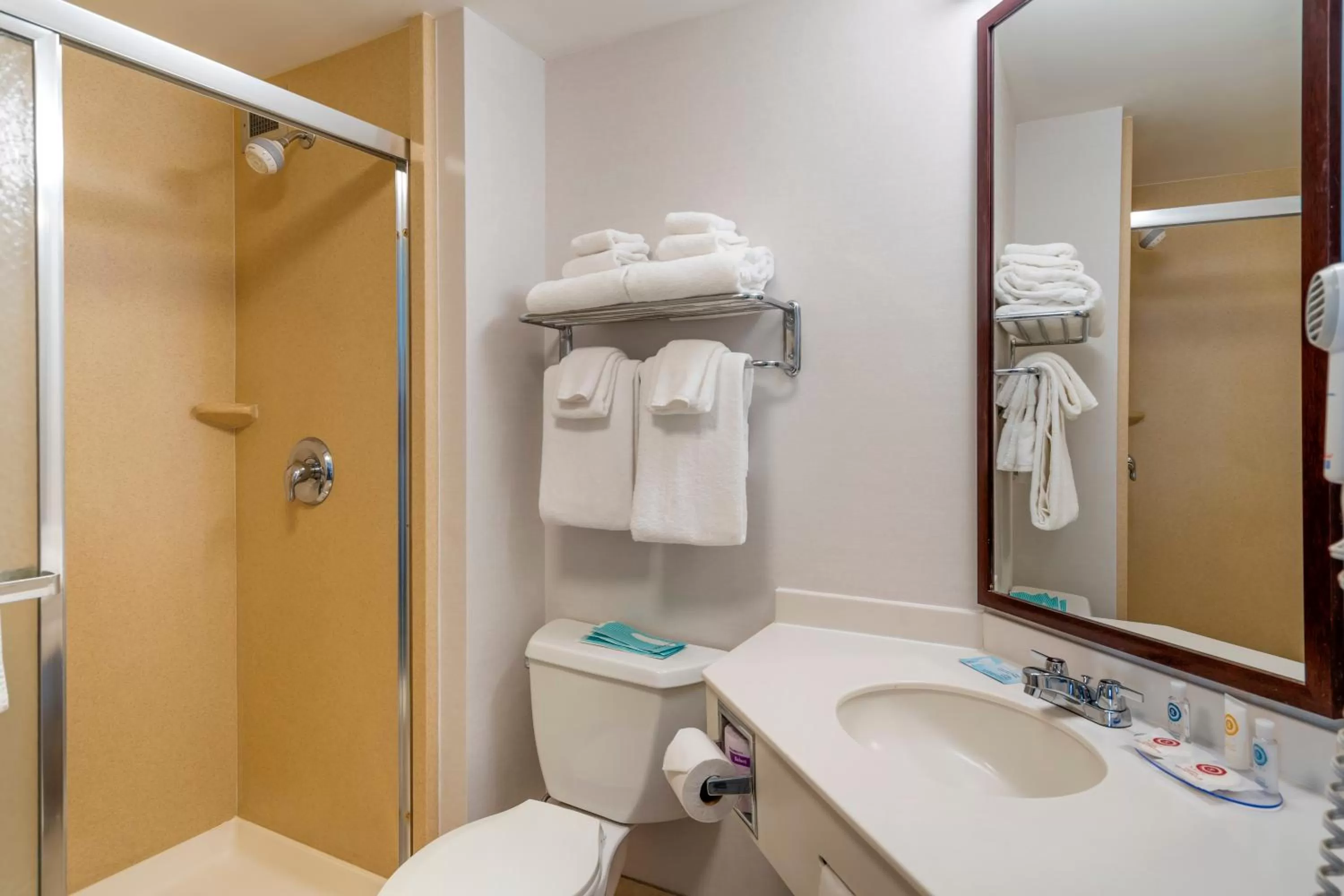 Shower in Comfort Inn & Suites Watertown - 1000 Islands