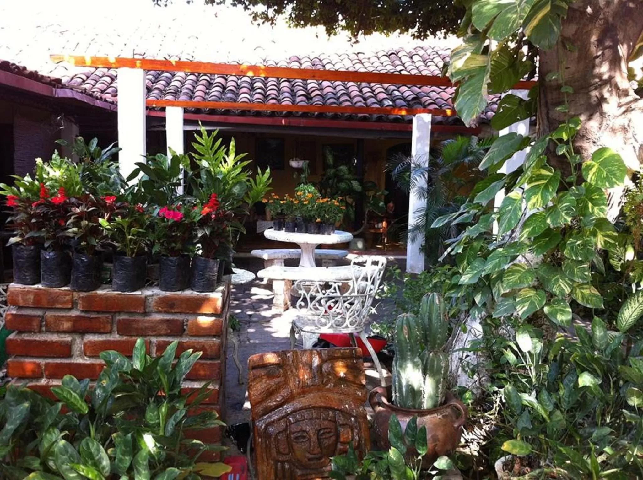 Day, Restaurant/Places to Eat in Hotel Caleta