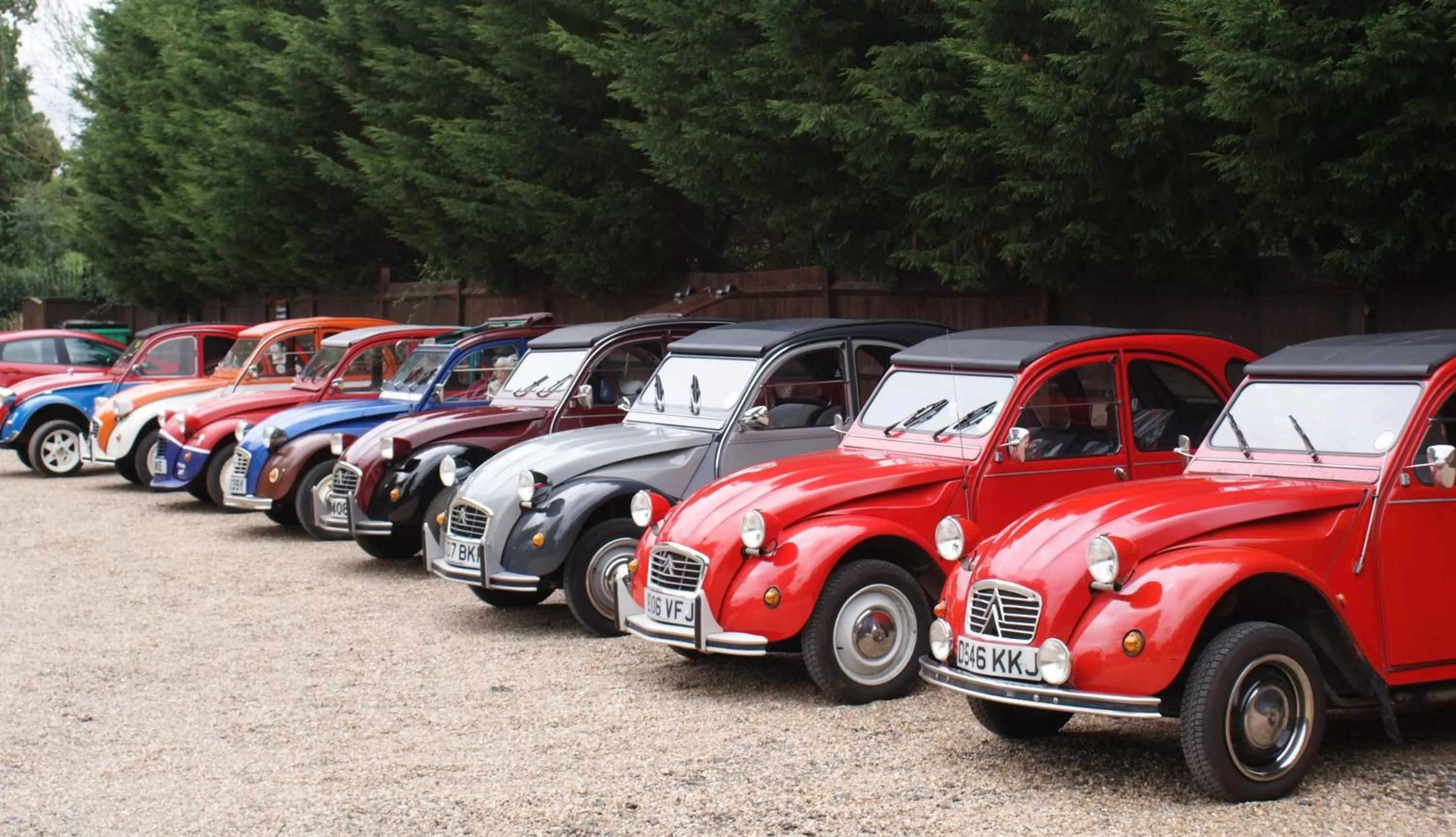 Activities in The Hawkenbury