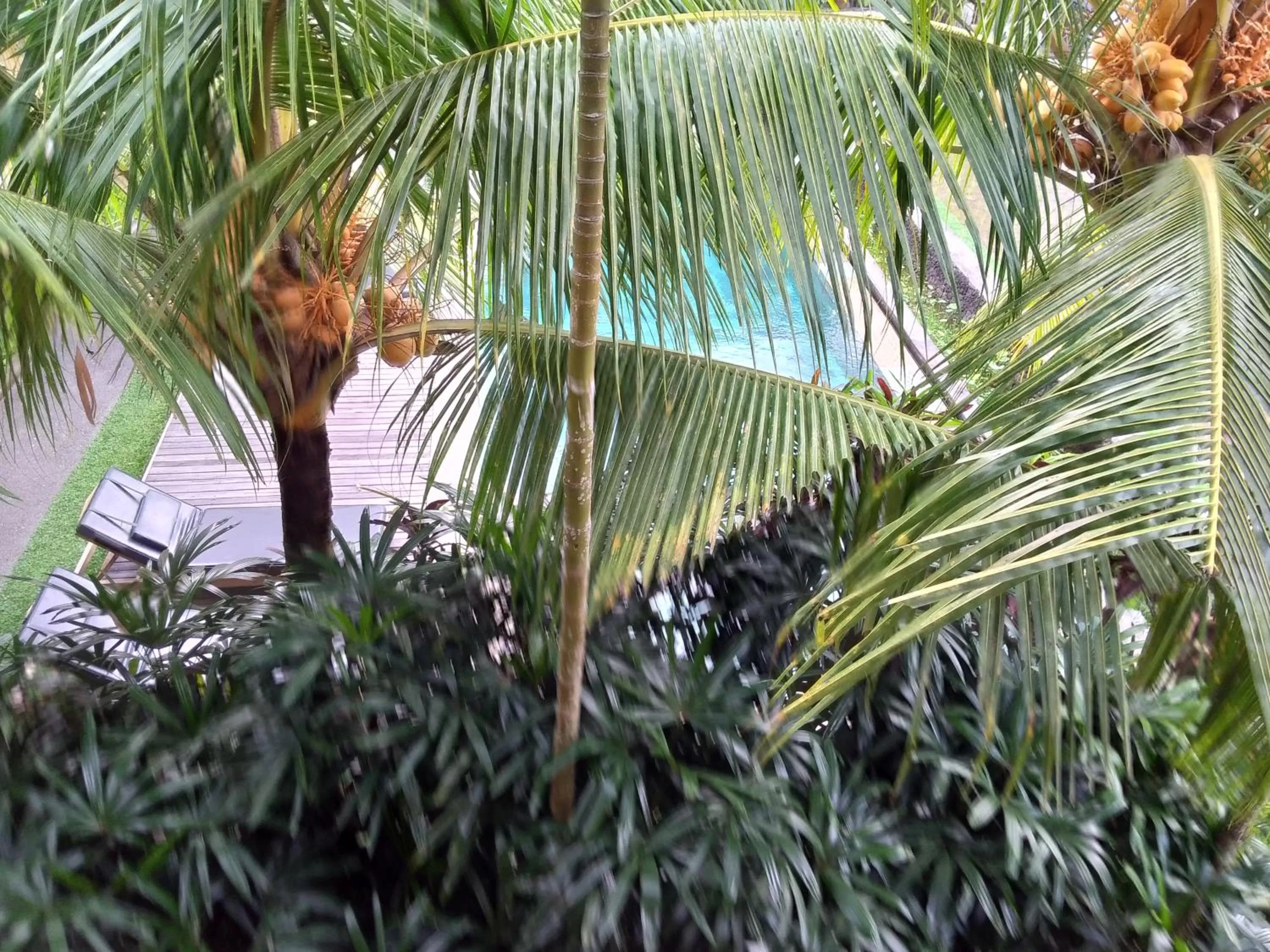 Ubud Lestari Bungalows