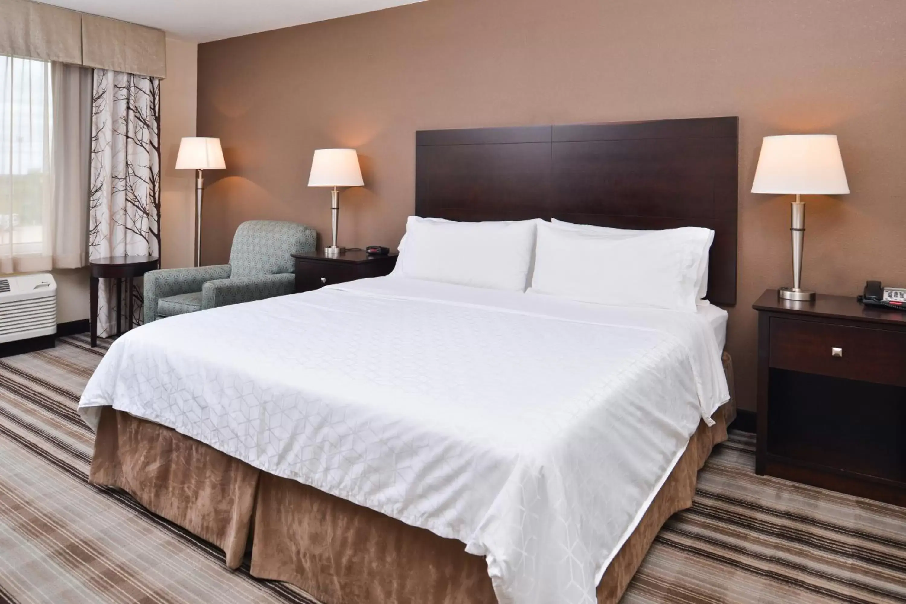 Standard King Room in Holiday Inn Express & Suites Emporia Northwest by IHG Standard King Room in Holiday Inn Express & Suites Emporia Northwest by IHG