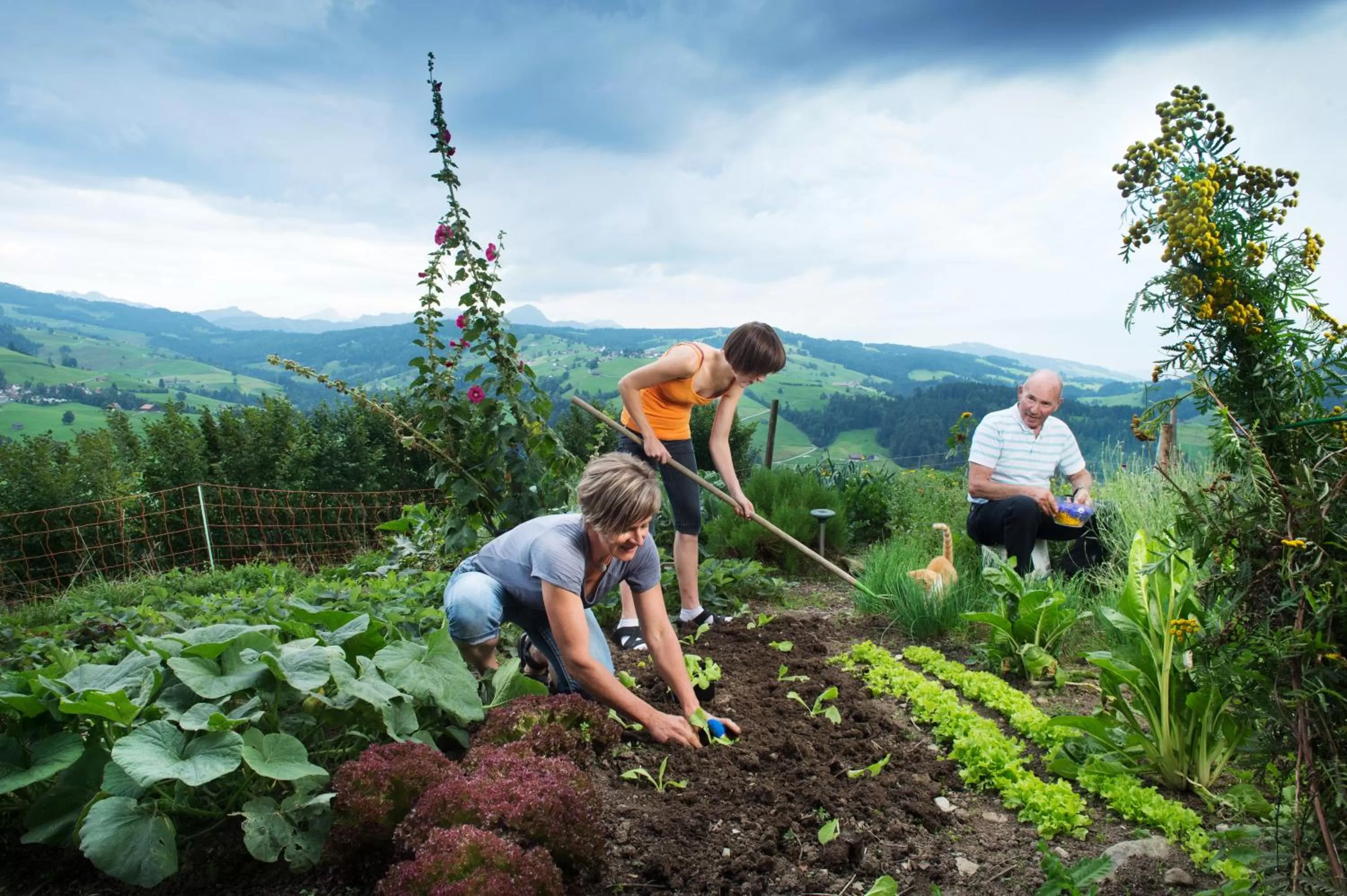 Garden in Gästehaus Aemisegg
