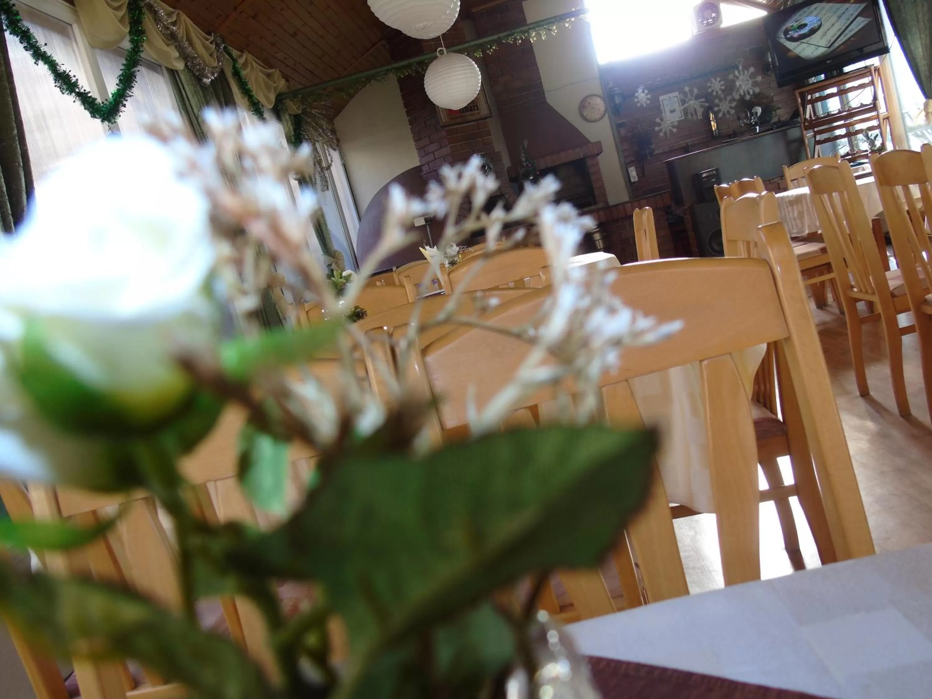 Other in Noviz Hotel