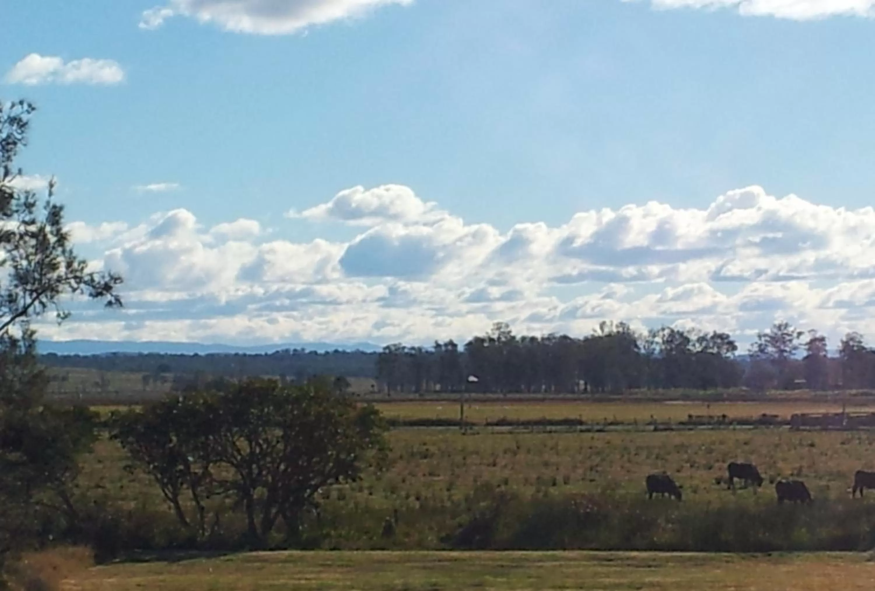 Winter in Andavine House - Bed & Breakfast