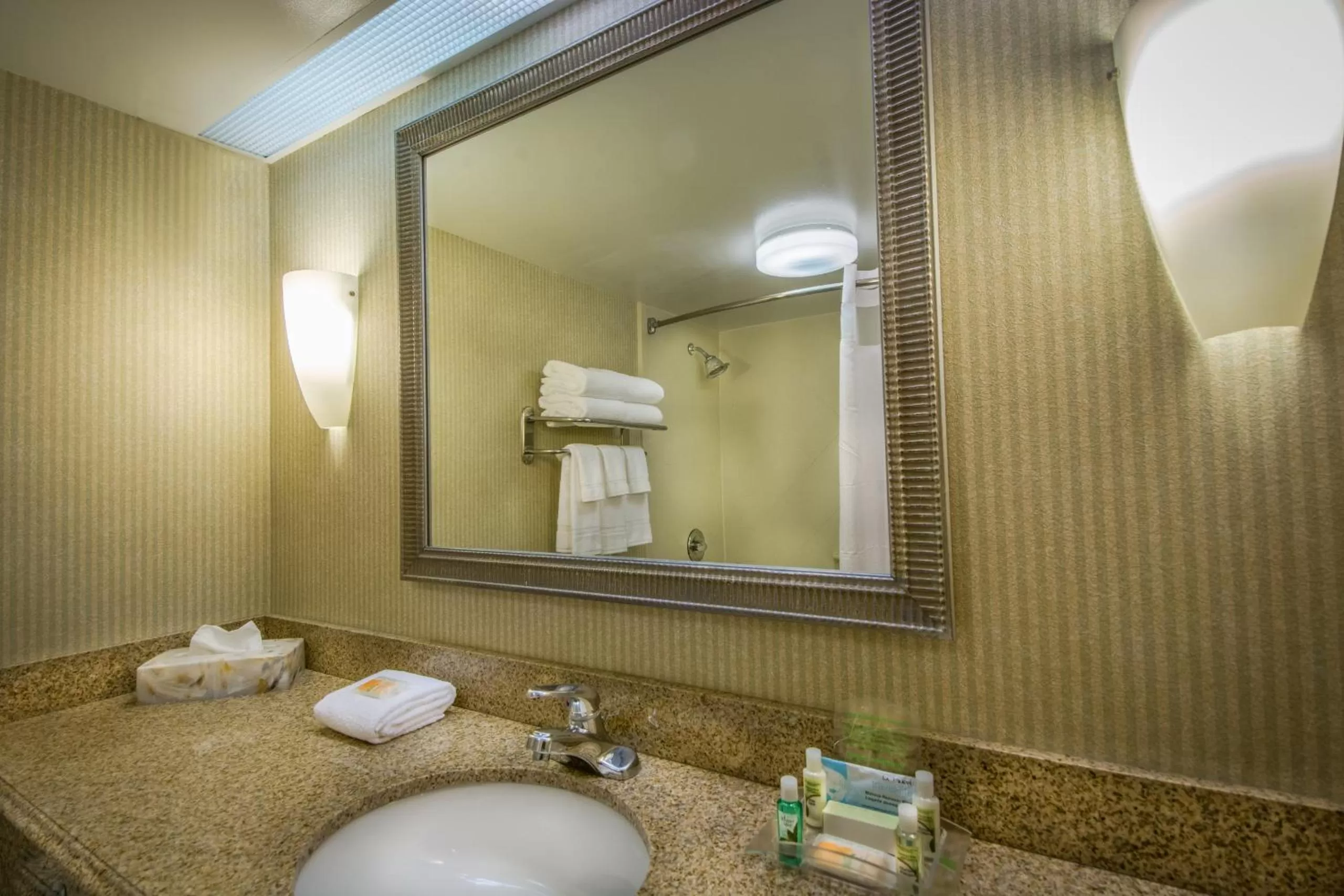 Bathroom in Holiday Inn Arlington at Ballston by IHG