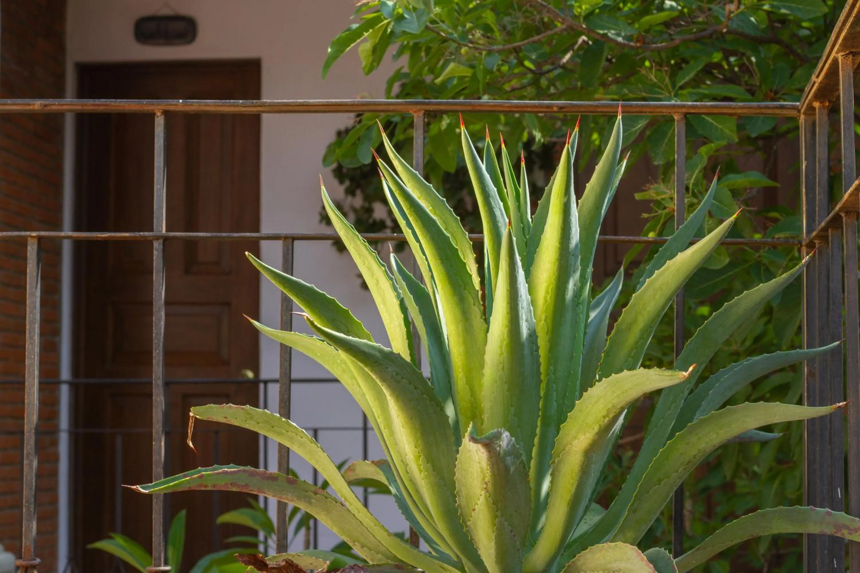 Decorative detail in NaNa Vida Hotel Oaxaca