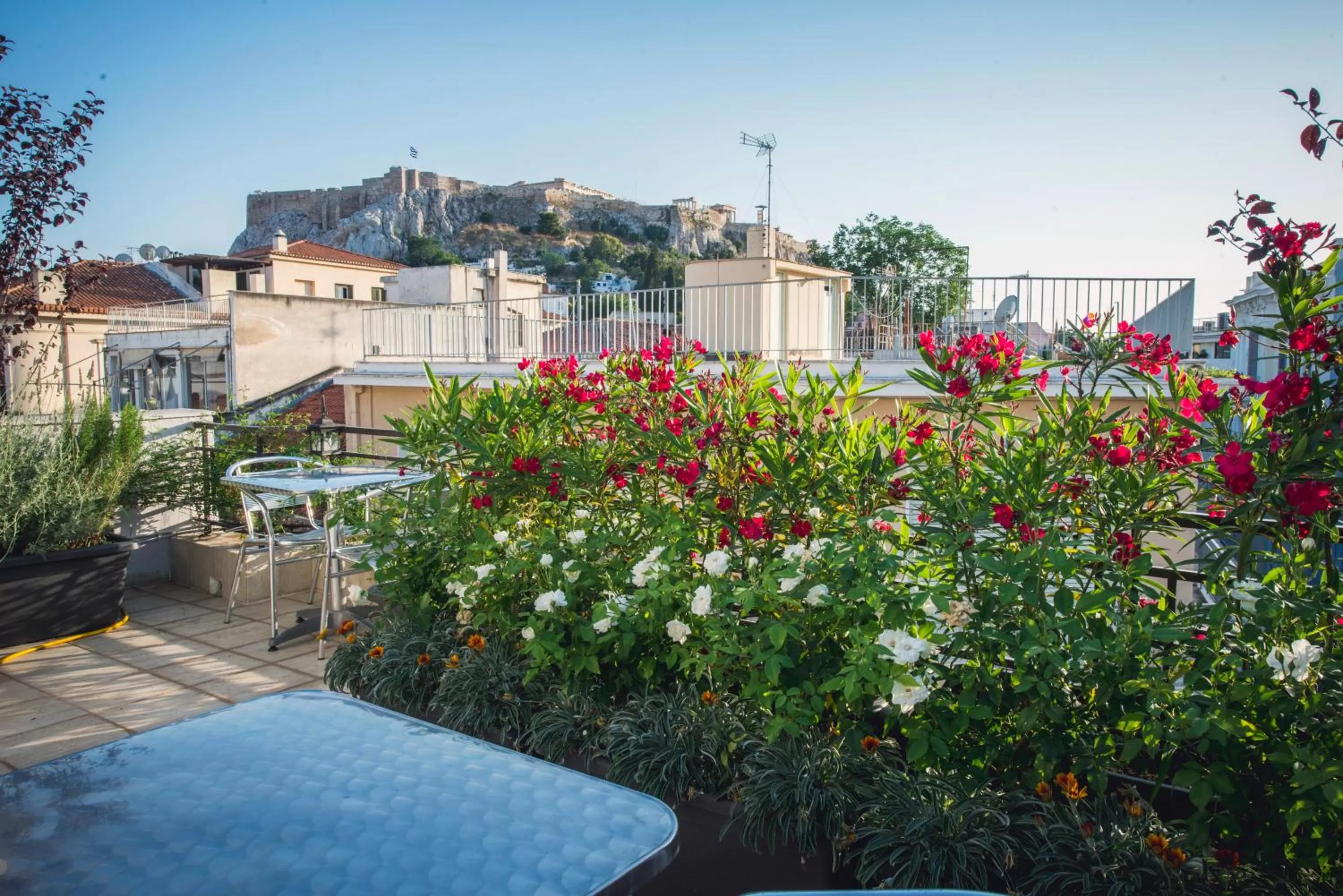 Spring in Kimon Hotel Athens