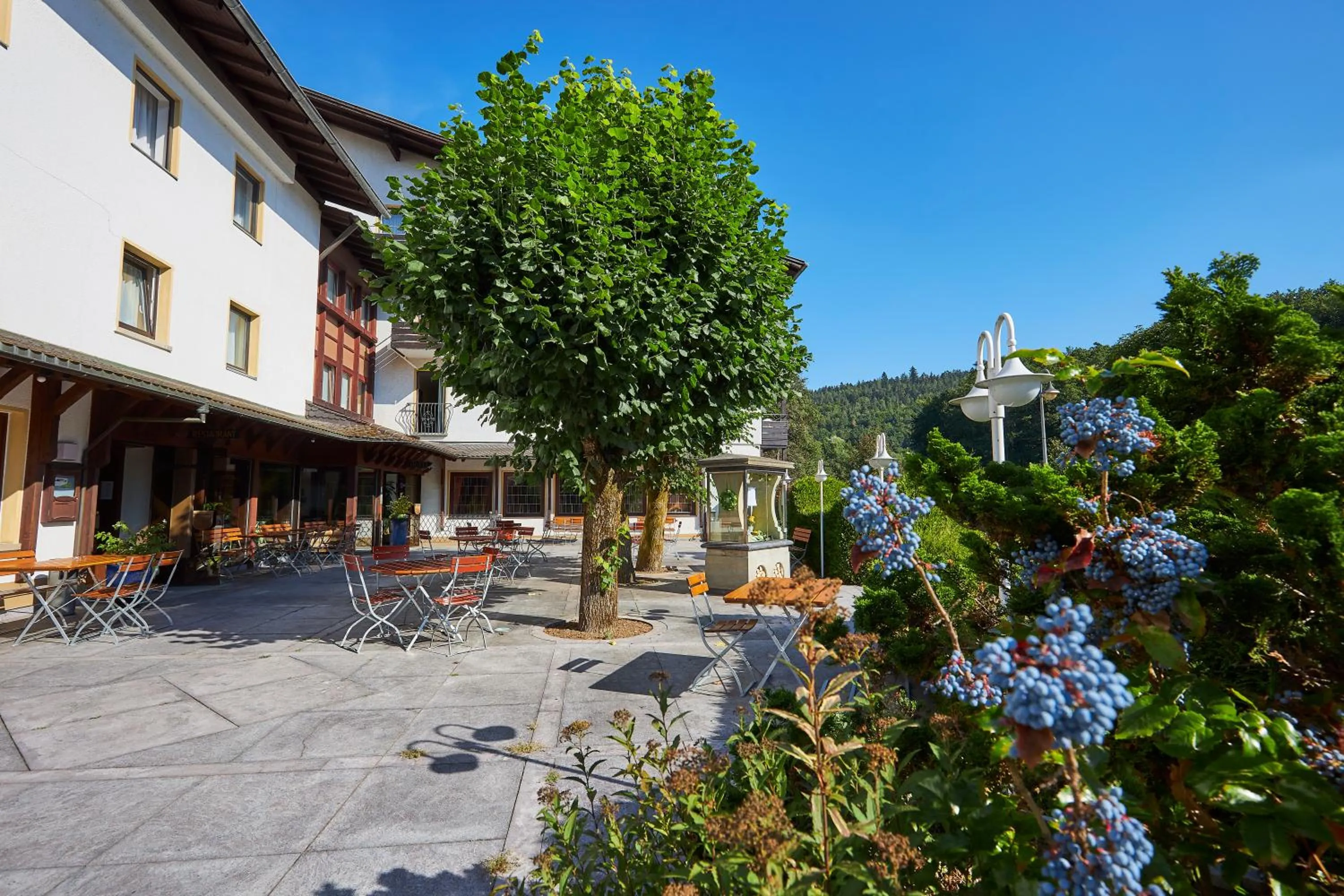 Balcony/Terrace in Flair Hotel Dobrachtal