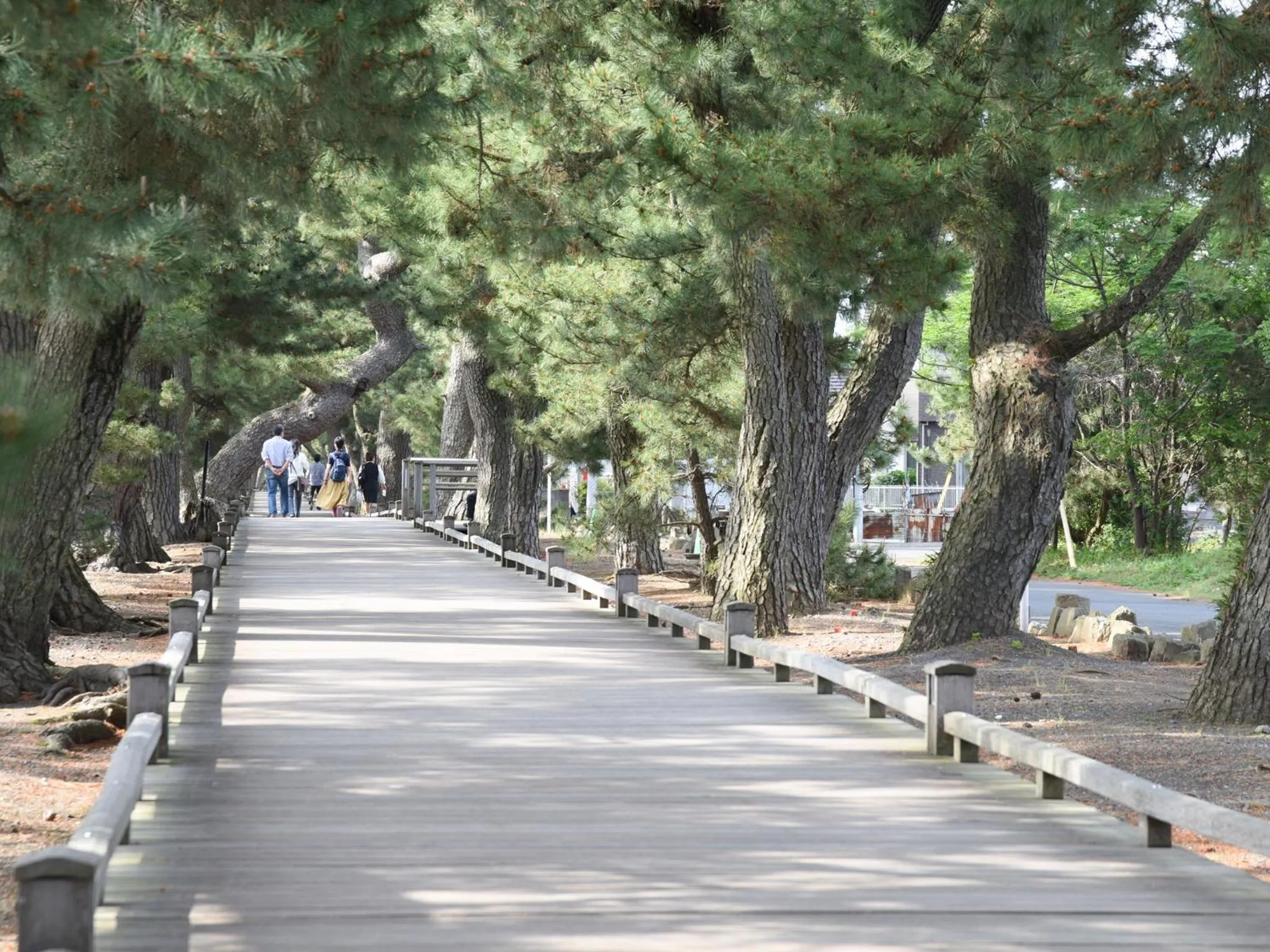 Neighbourhood in Hotel Hagoromo