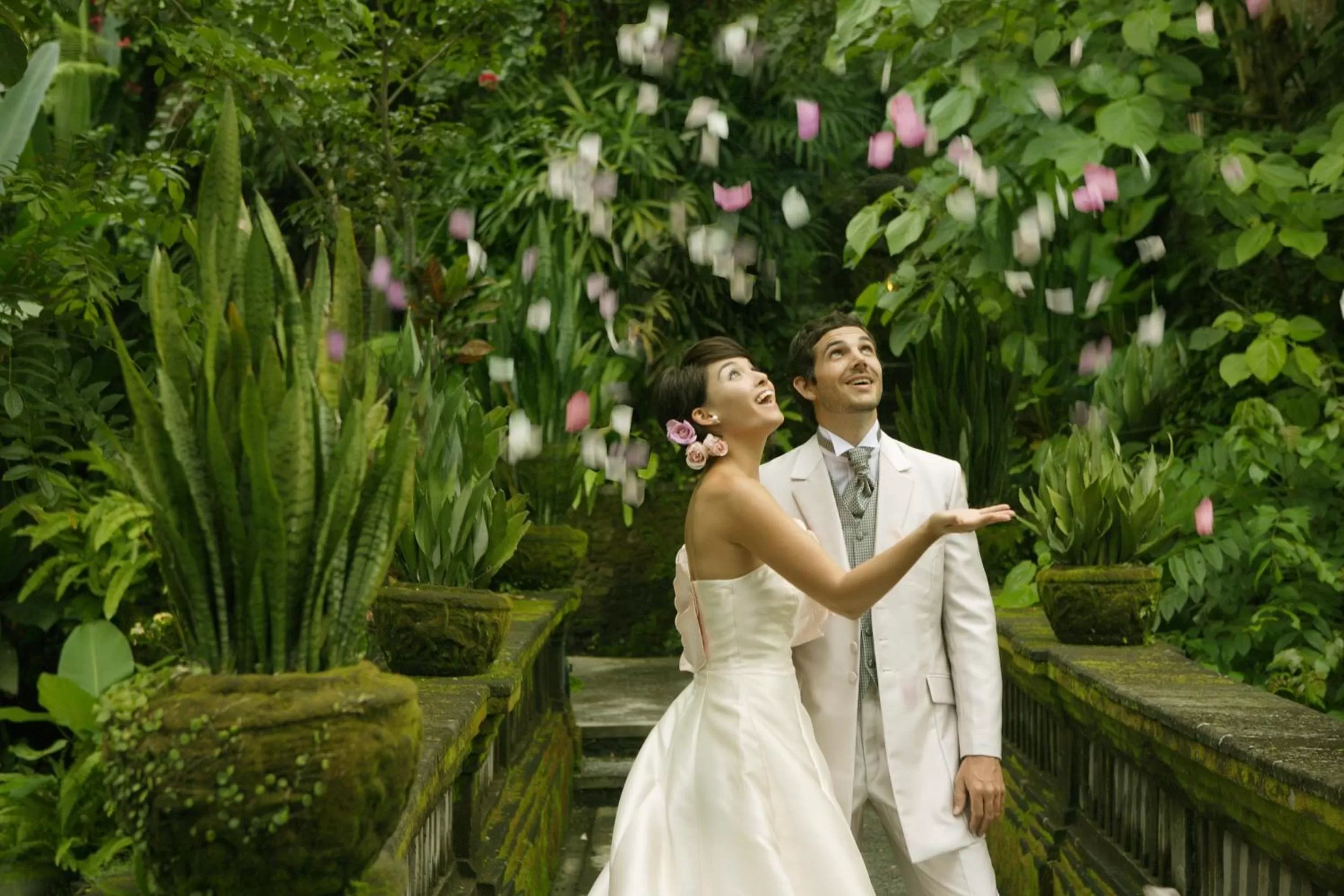 Day in The Royal Pita Maha