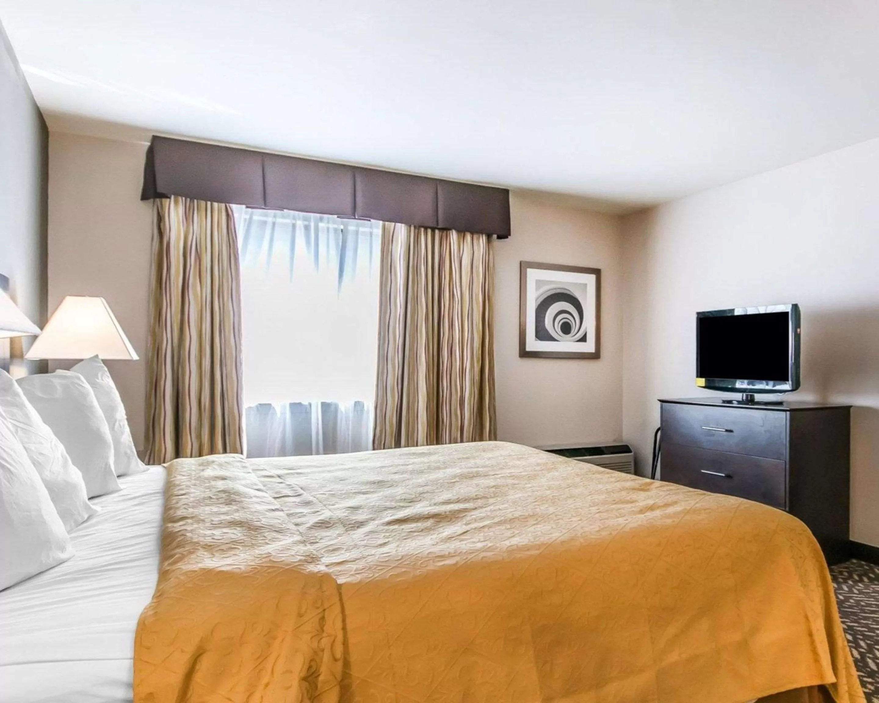 Photo of the whole room, Bed in Quality Inn & Suites University-Airport