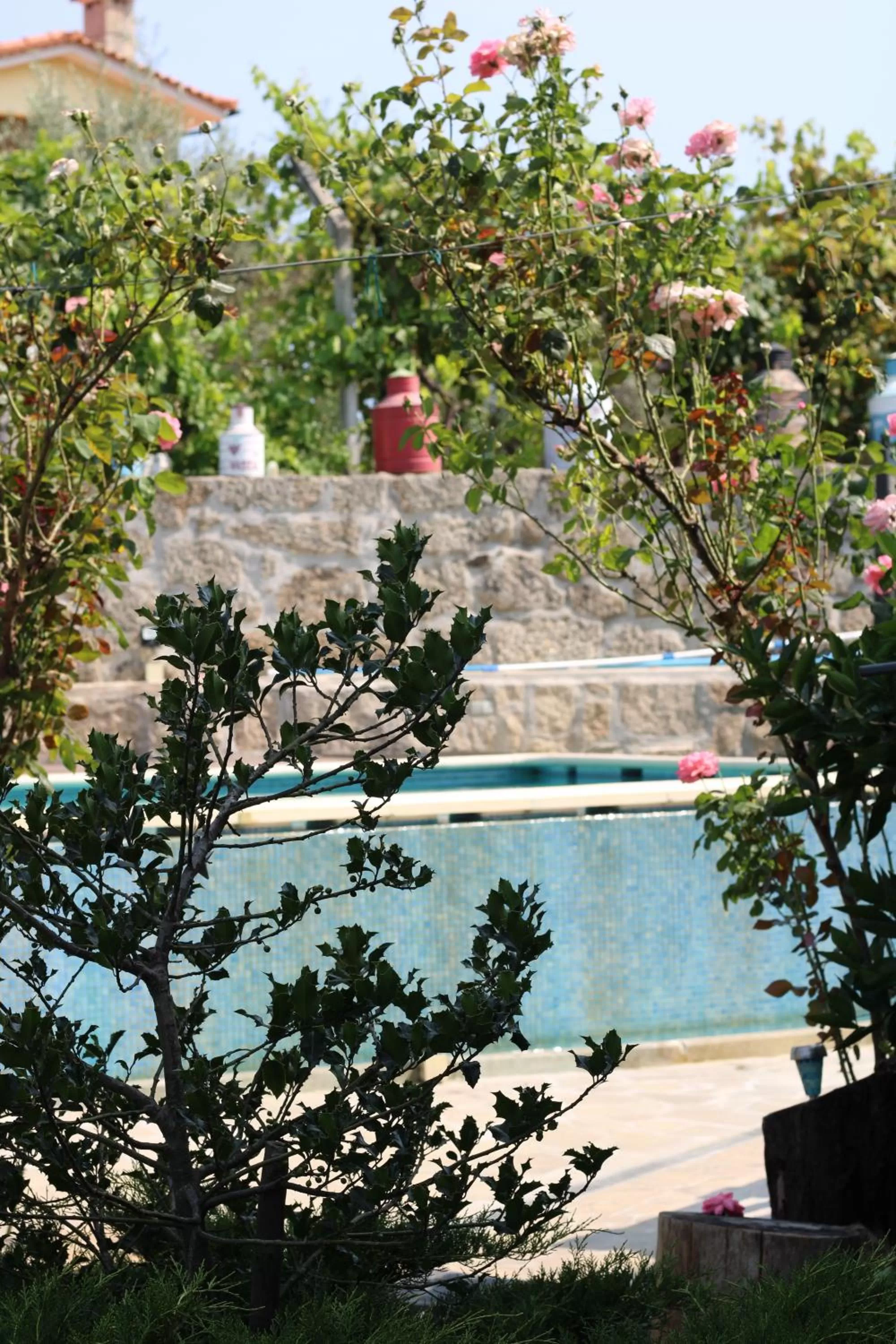 Garden in Casa da Aldeia da Avó