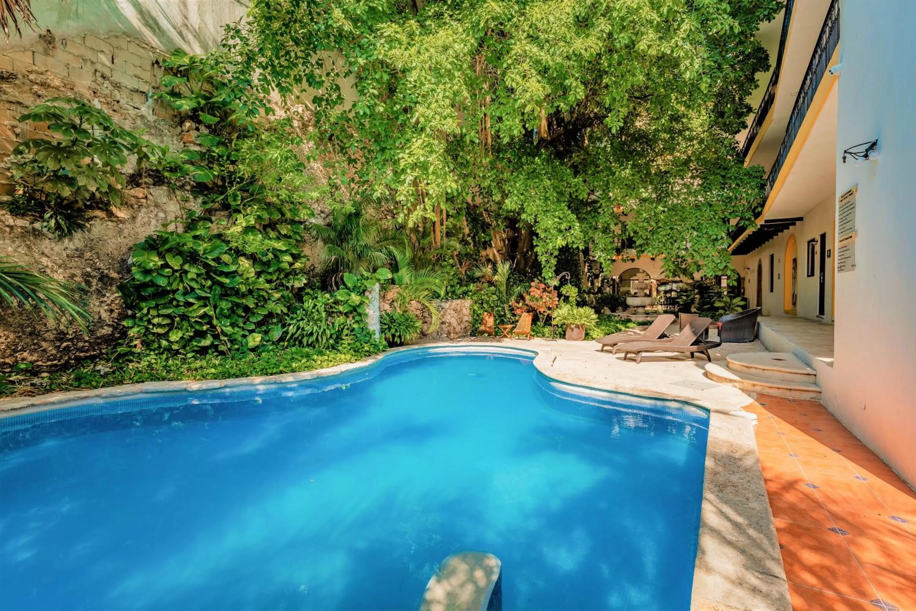 Swimming pool in Maison del Embajador