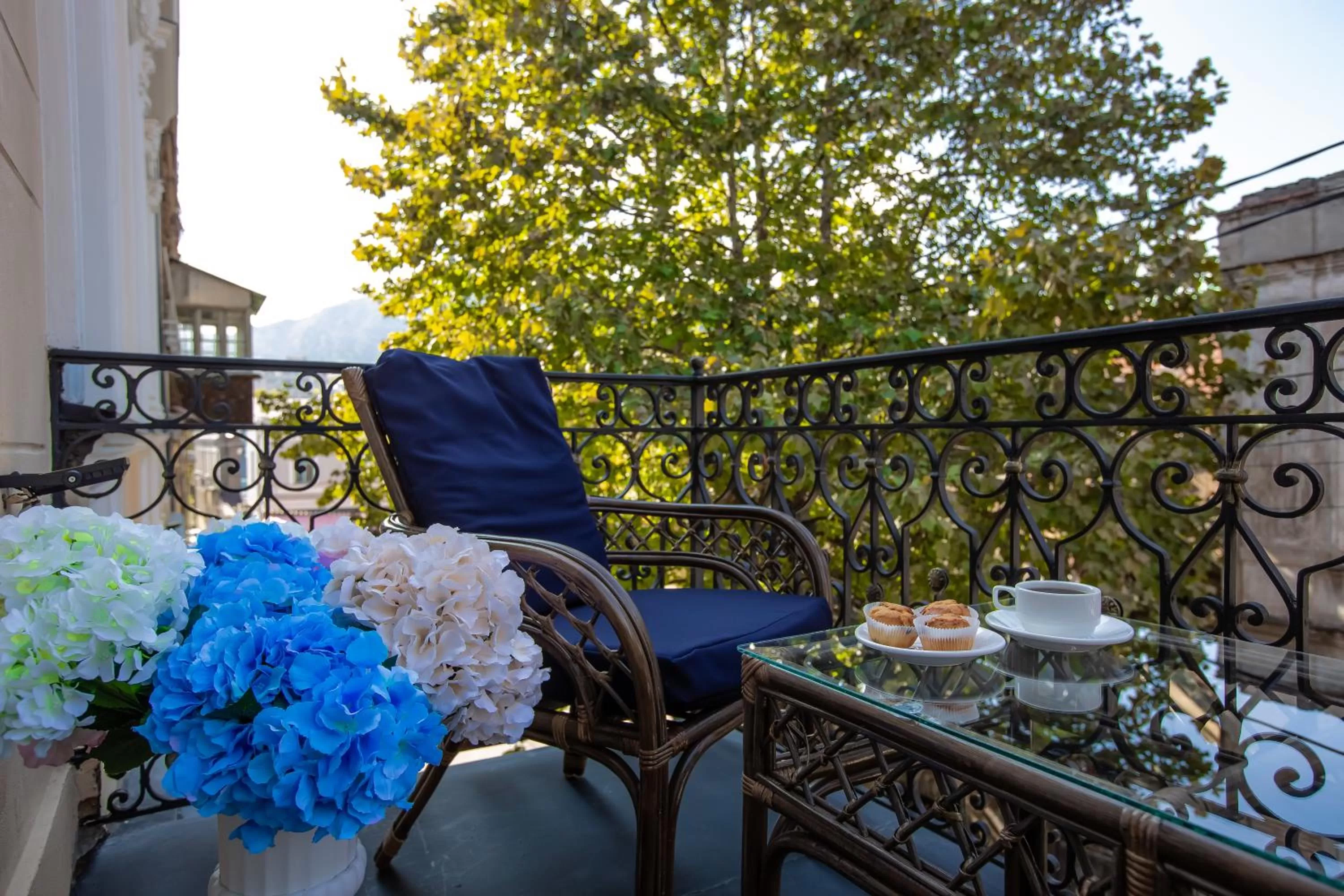 Balcony/Terrace in Royal Inn