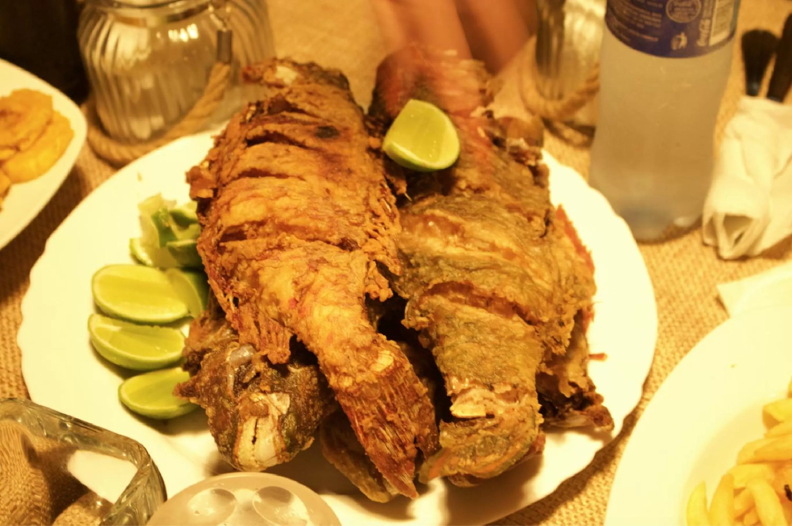 Restaurant/places to eat, Food in Hotel El Dorado