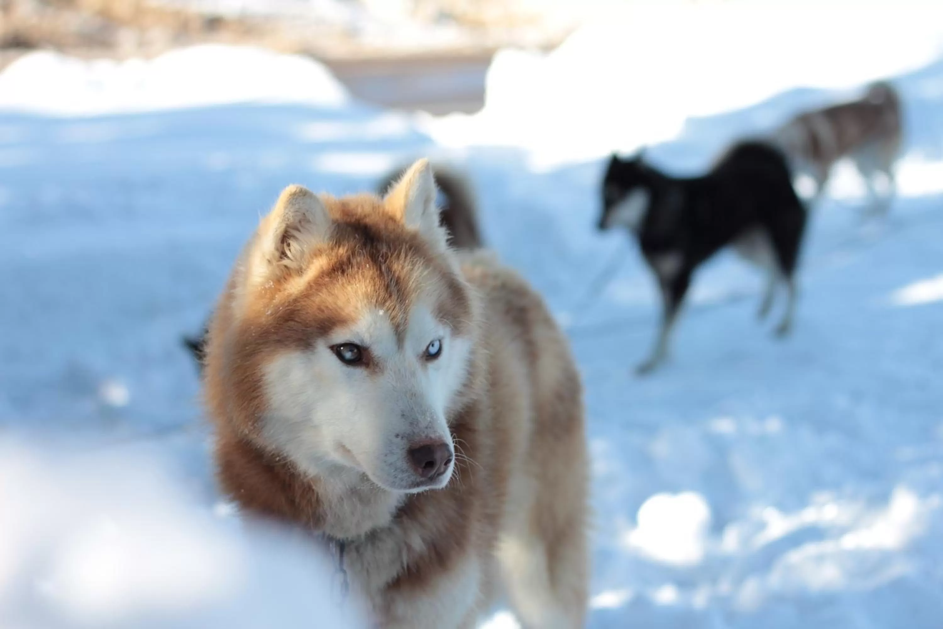 Other in Hotel La Chaudanne