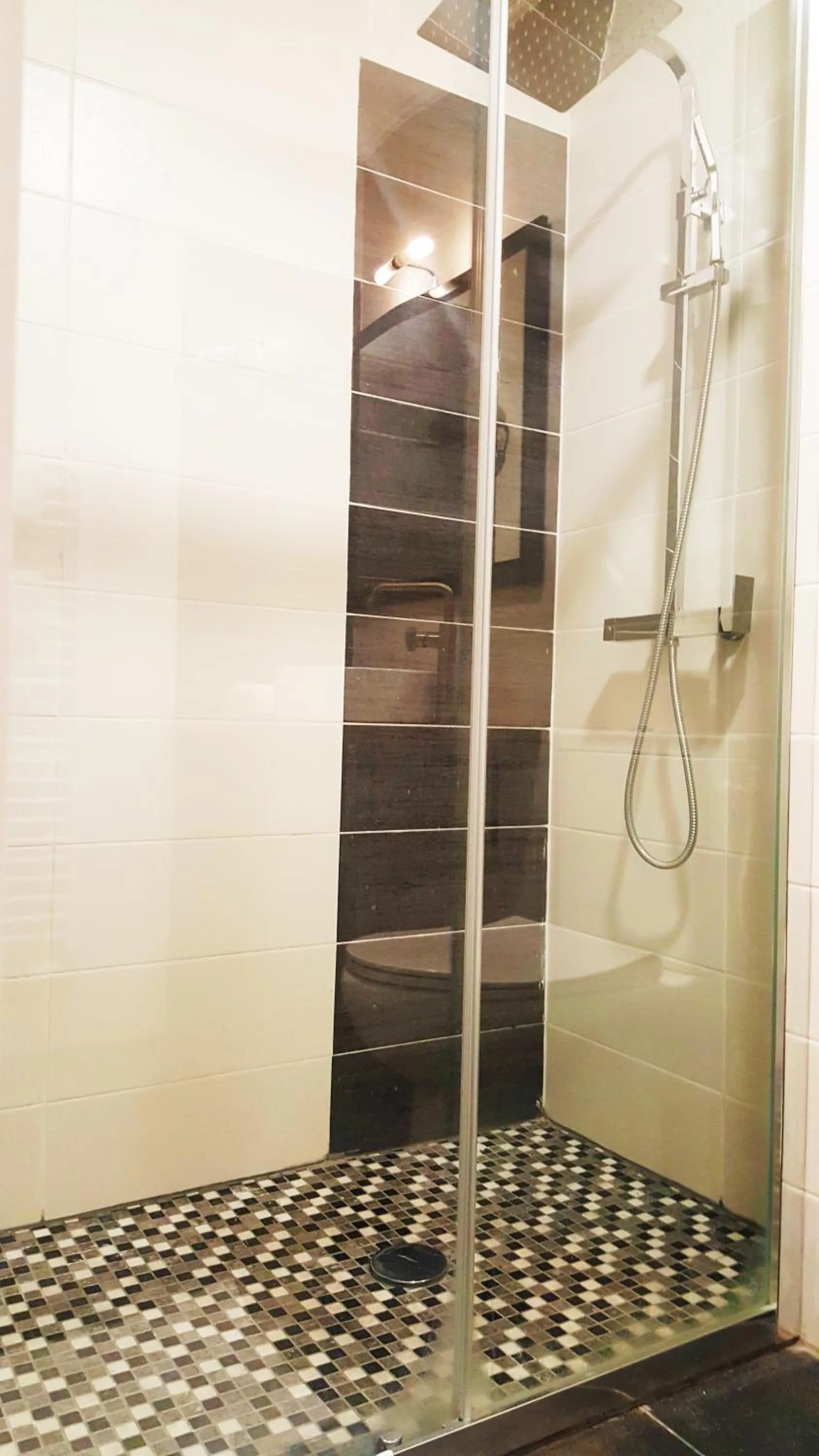 Shower in Modern'Hotel