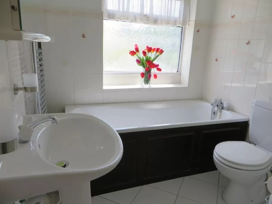 Toilet in Comfortable rooms