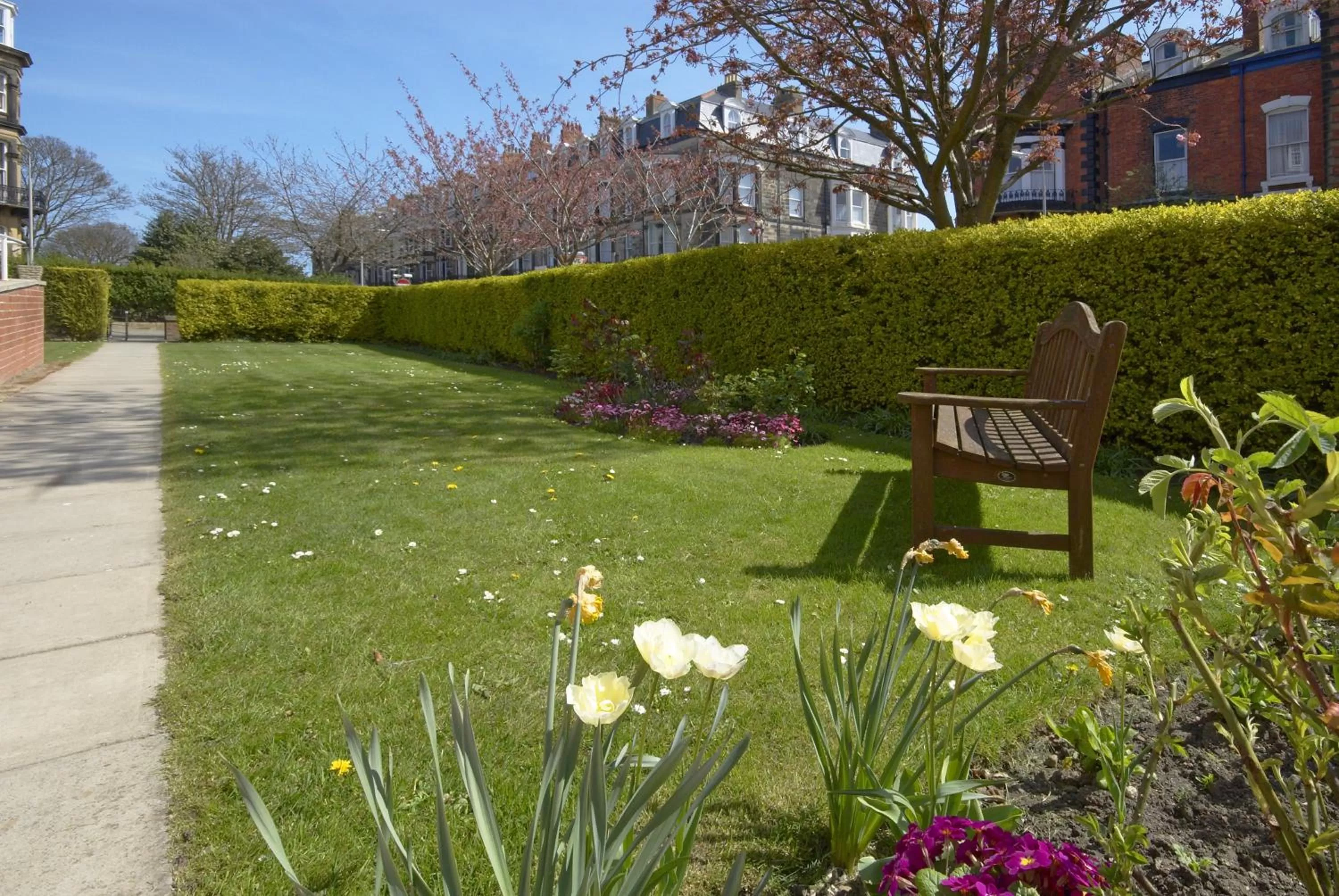Garden in The Caledonian New Southlands Hotel
