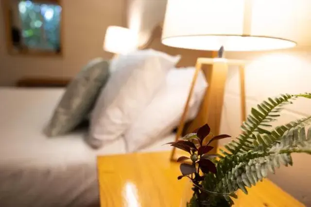 King plus Queen plus Kitchenette in Tallow Beach Motel King plus Queen plus Kitchenette in Tallow Beach Motel