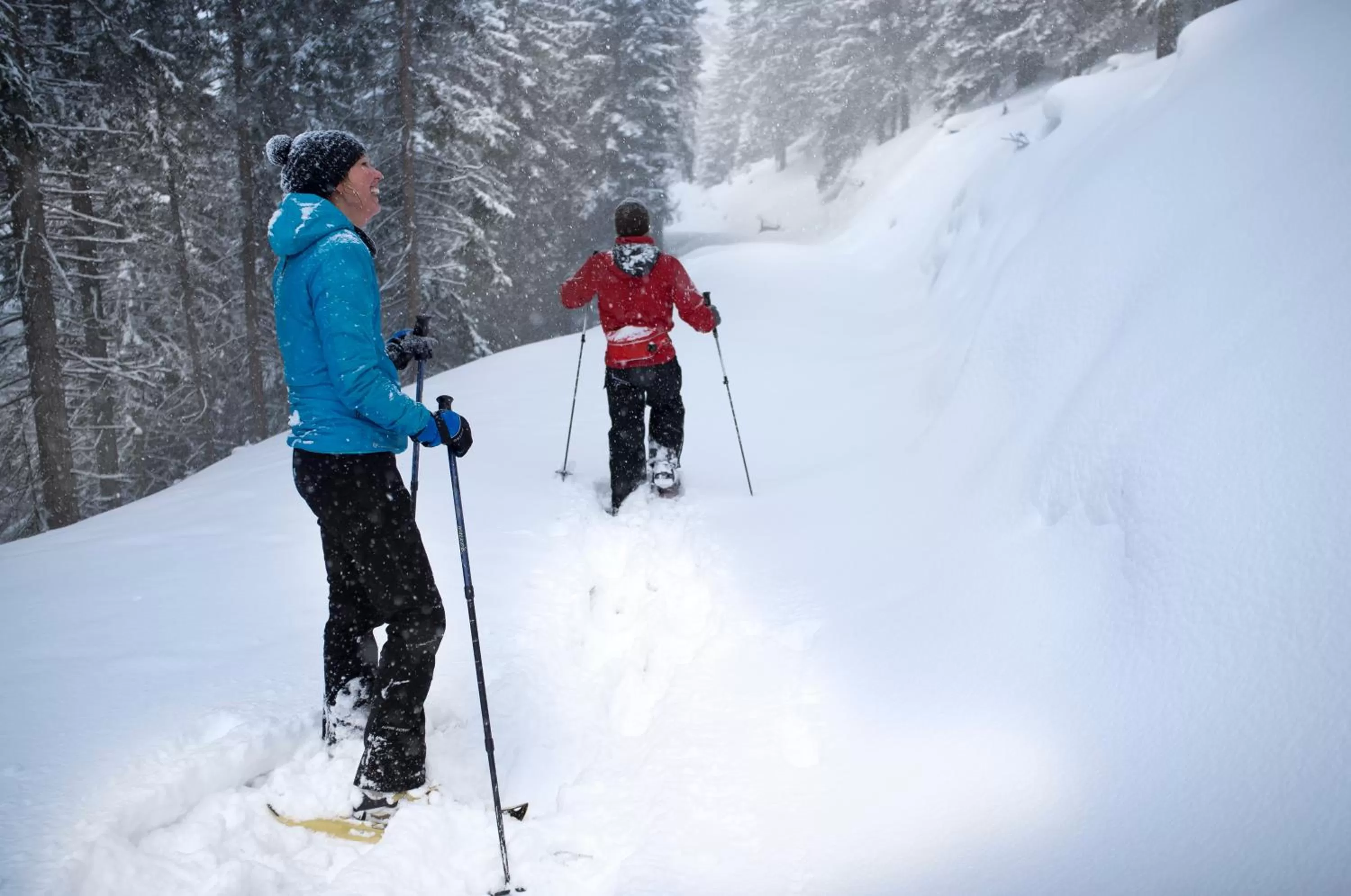 Hiking in Hotel Garni Regina