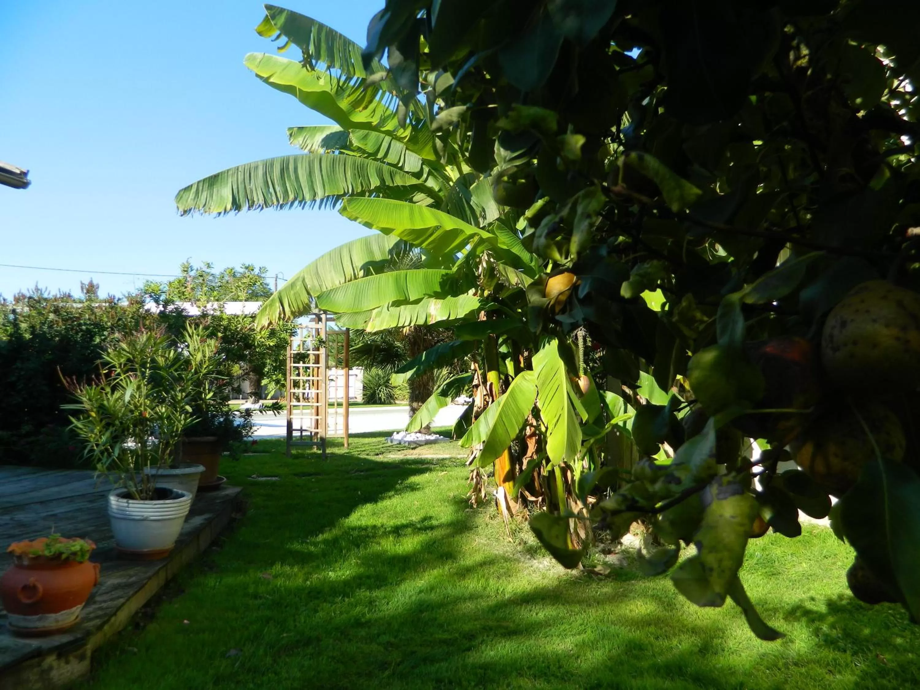 Garden in La Girouardière