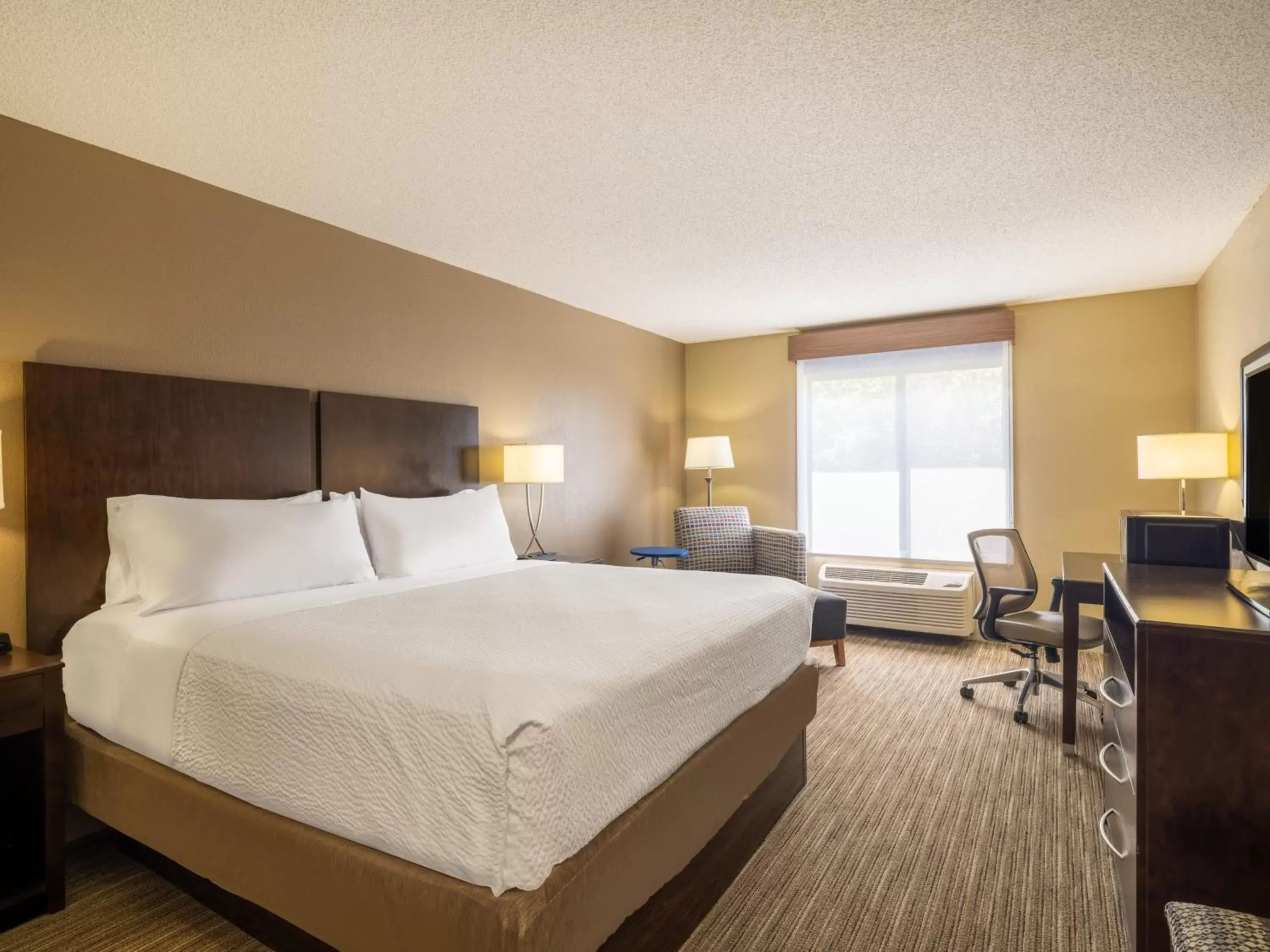 Standard King Room in Holiday Inn Express Gas City by IHG Standard King Room in Holiday Inn Express Gas City by IHG