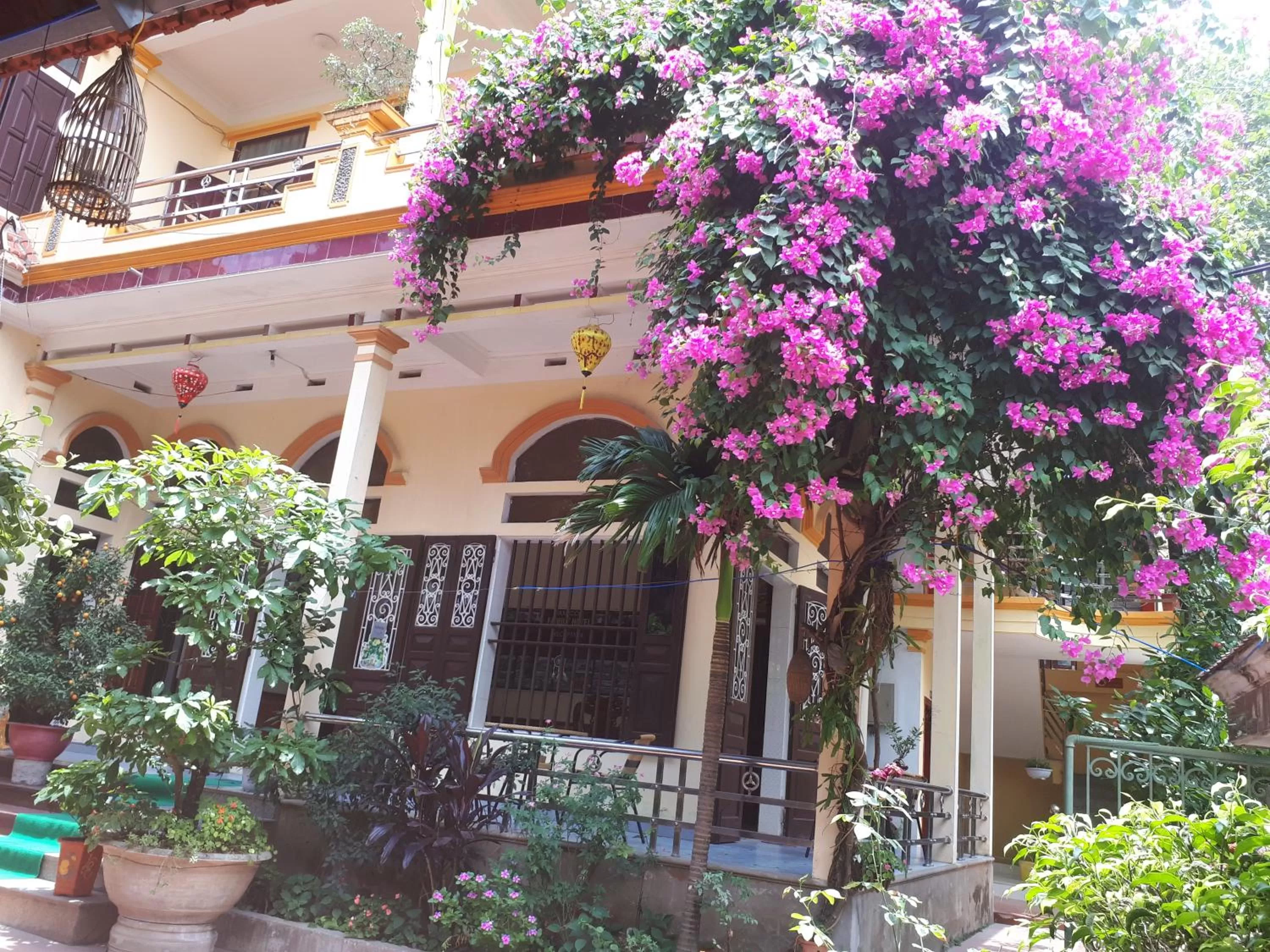 Tam Coc Family Hotel