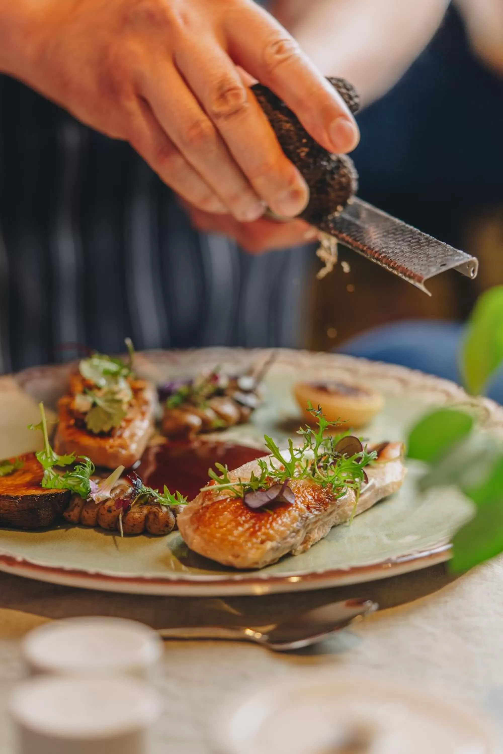 Dinner in Hotel Altus Palace - Destigo Hotels