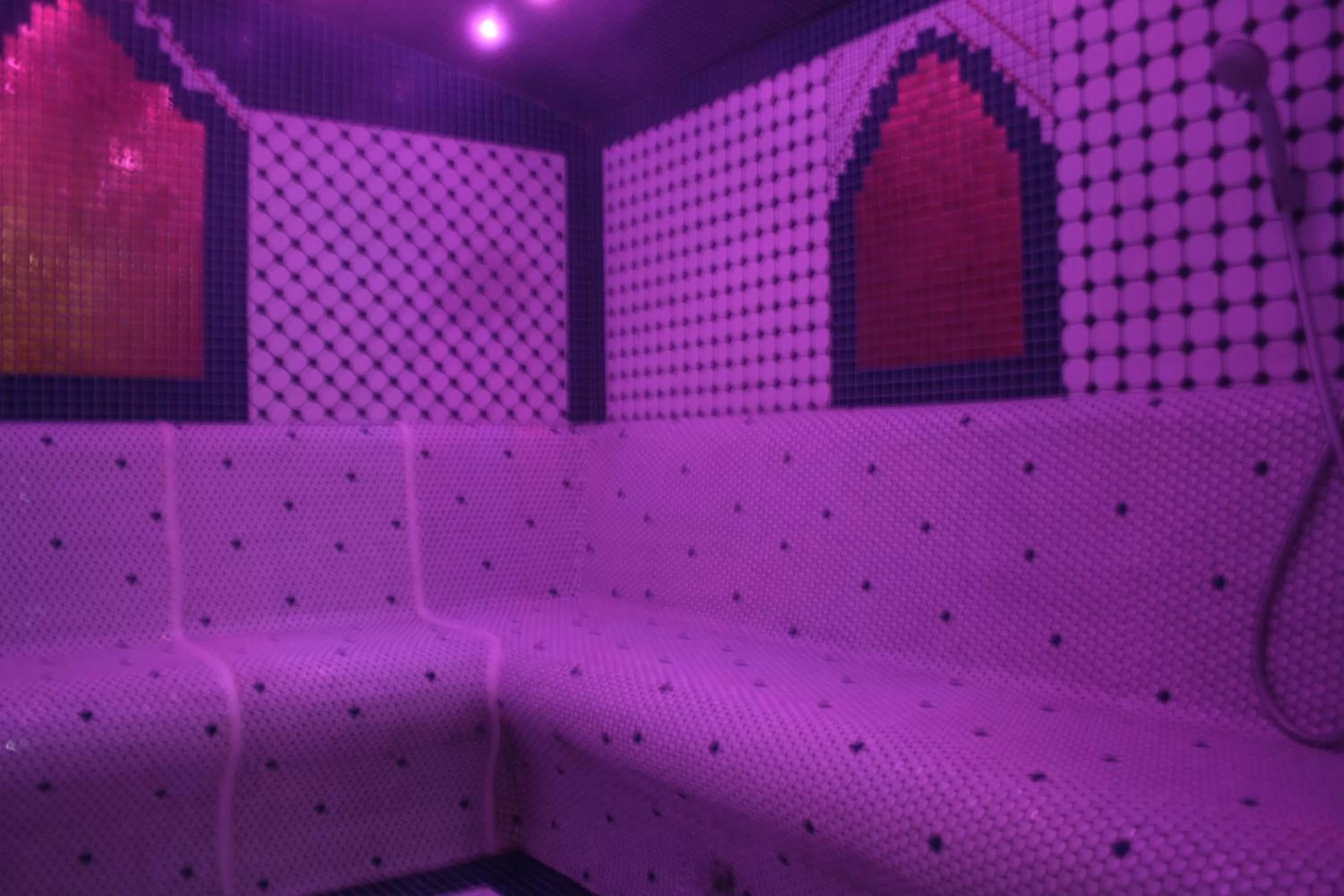 Sauna in Wellness Hotel Beethoven