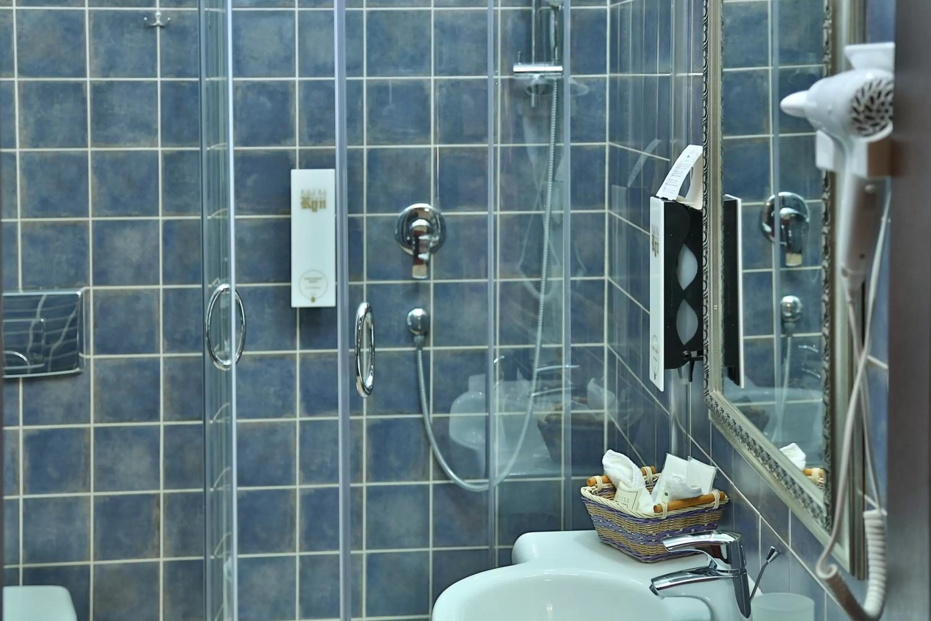 Shower, Bathroom in Willa Pod Zamkiem