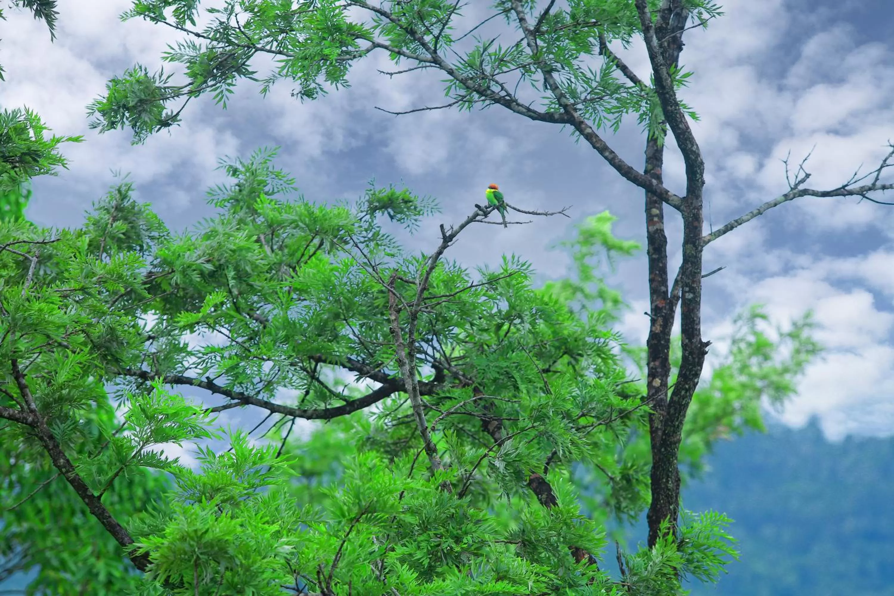 View (from property/room) in Box on clouds