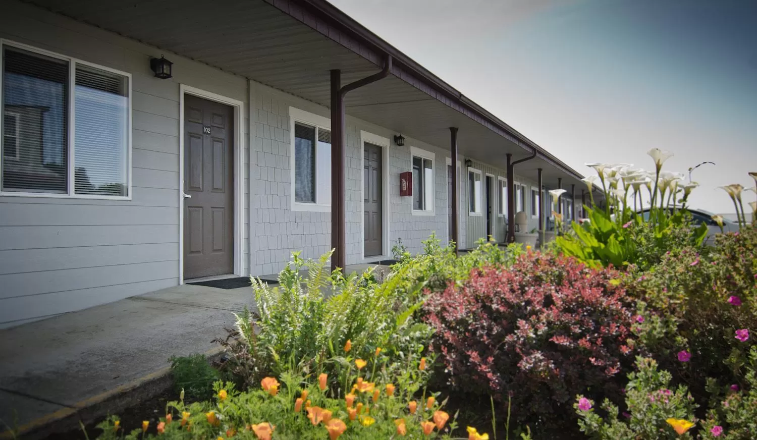 Property building in Pacific Reef Hotel & Light Show