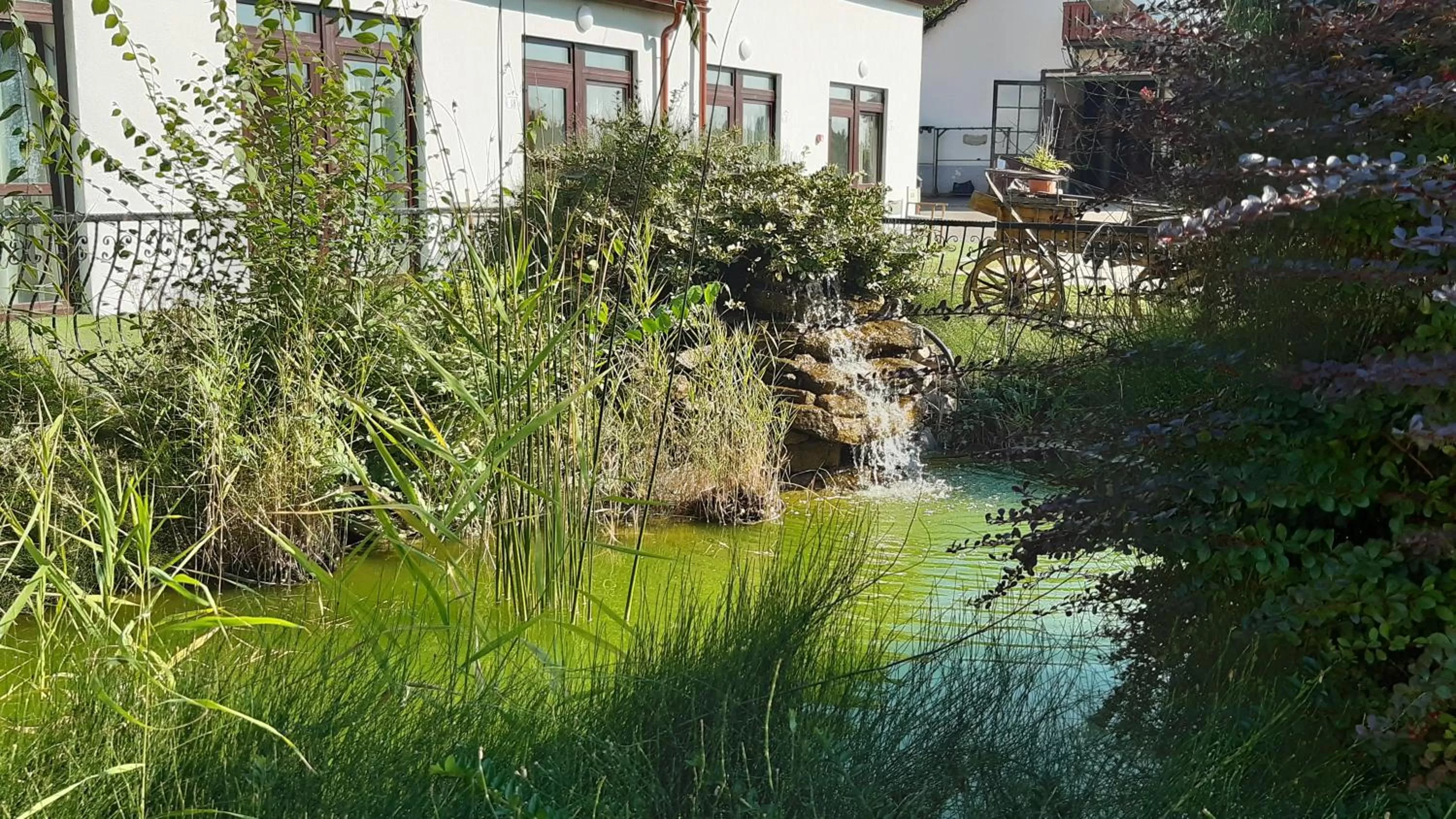 Garden in Mátyus Udvarház Kengyel Fogadó Eger