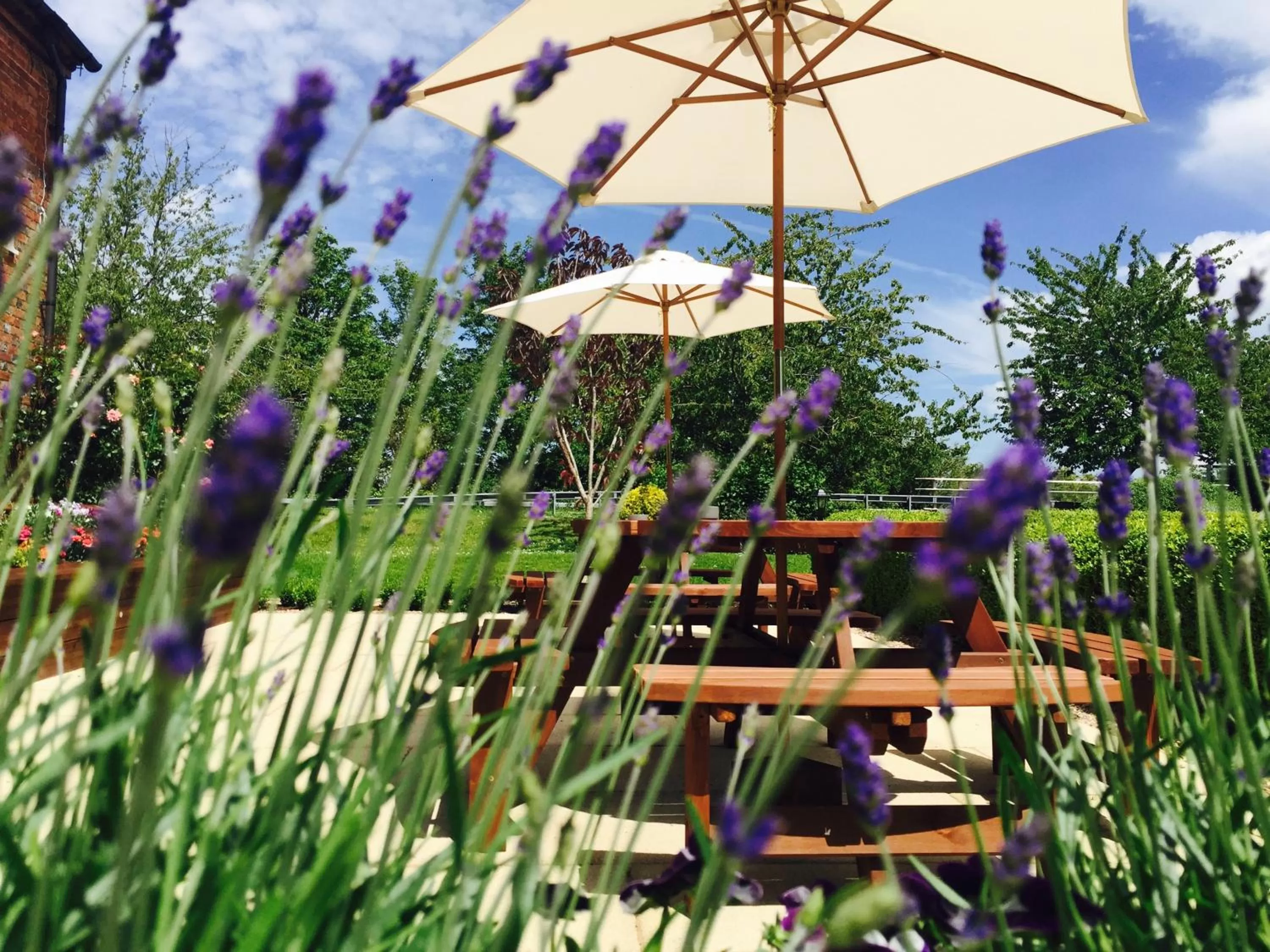 Patio in Kingswell Hotel & Restaurant - Boutique Hotel