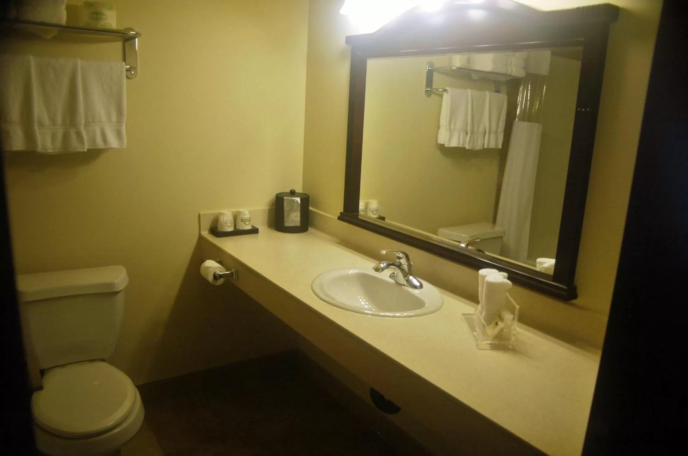Bathroom in Days Inn by Wyndham Athabasca