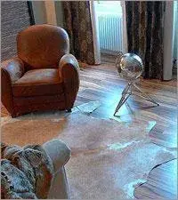 Earth Suite in Elements Hotel Earth Suite in Elements Hotel