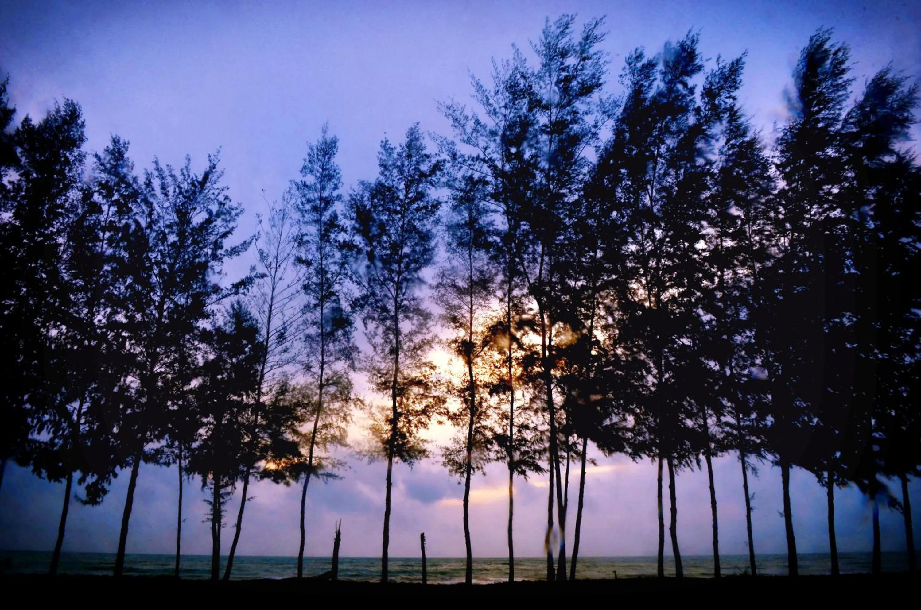 Property building, Winter in Le Menara Khao Lak