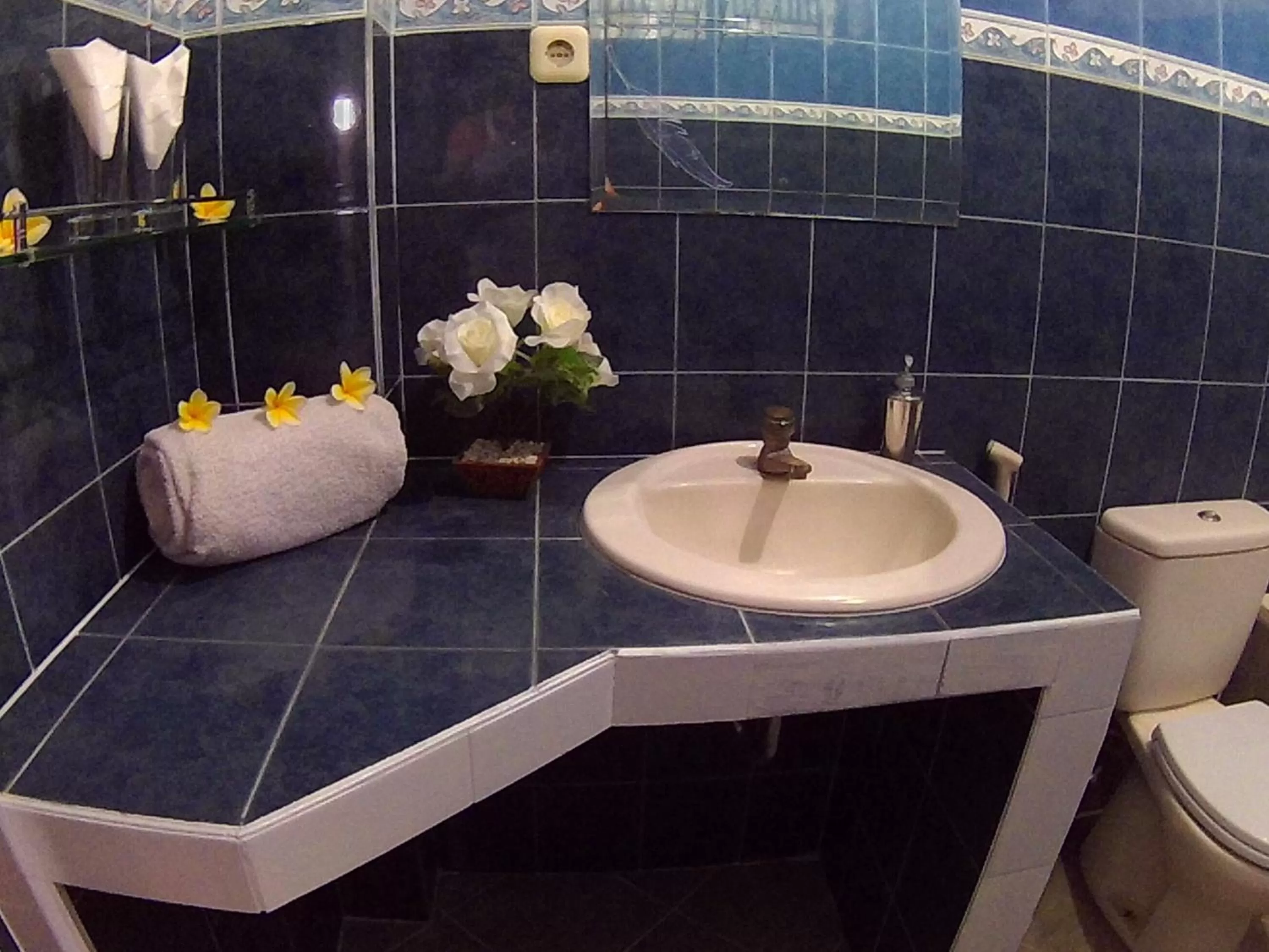 Toilet in 24/7 Bed & Breakfast