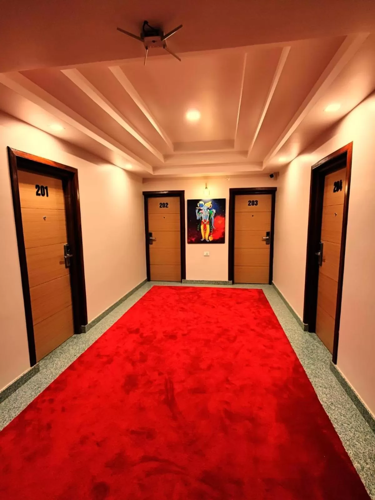 View (from property/room) in Hotel Krishna Kathmandu