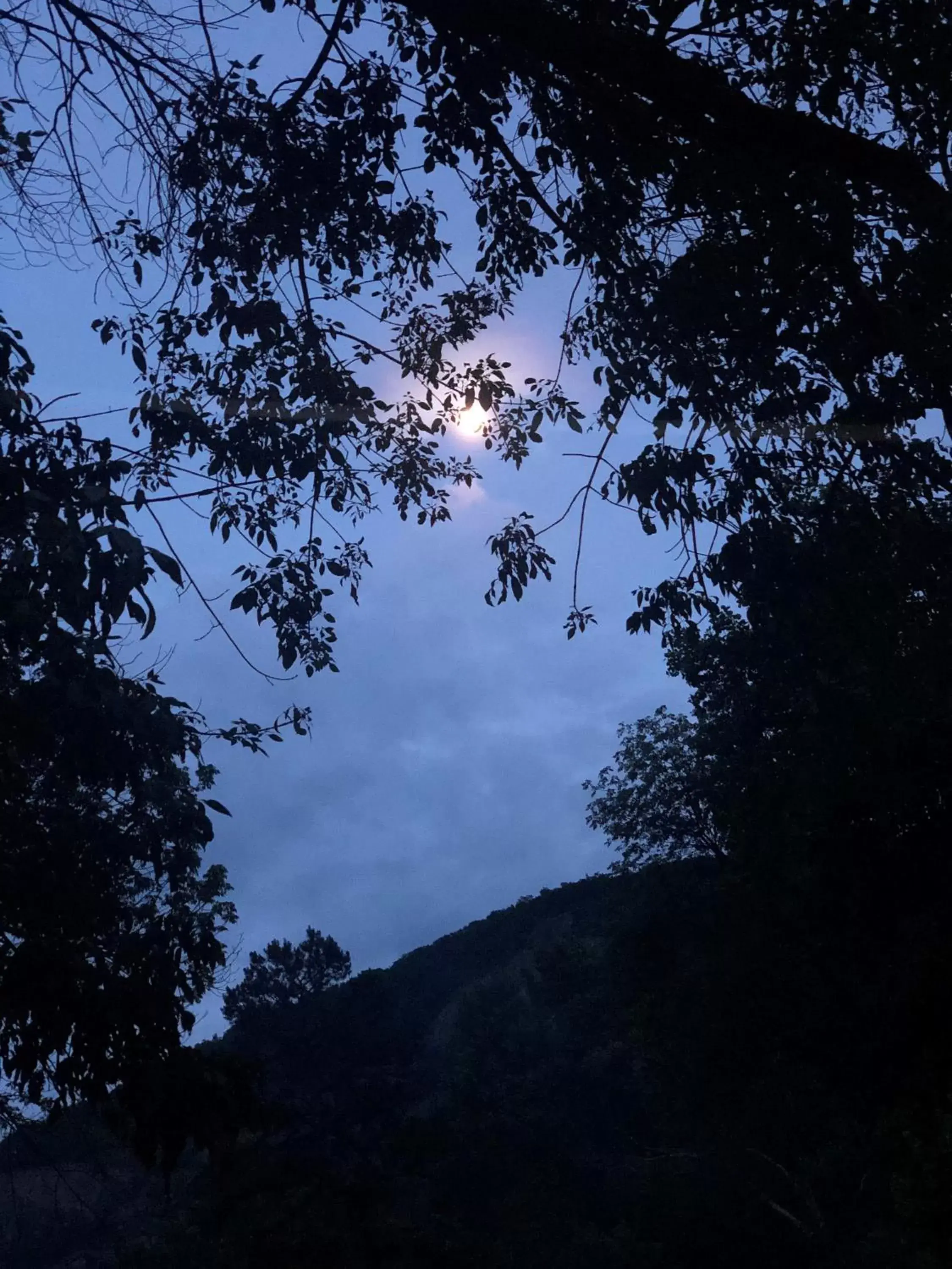 The Evening Shade River Lodge and Cabins The Evening Shade River Lodge and Cabins