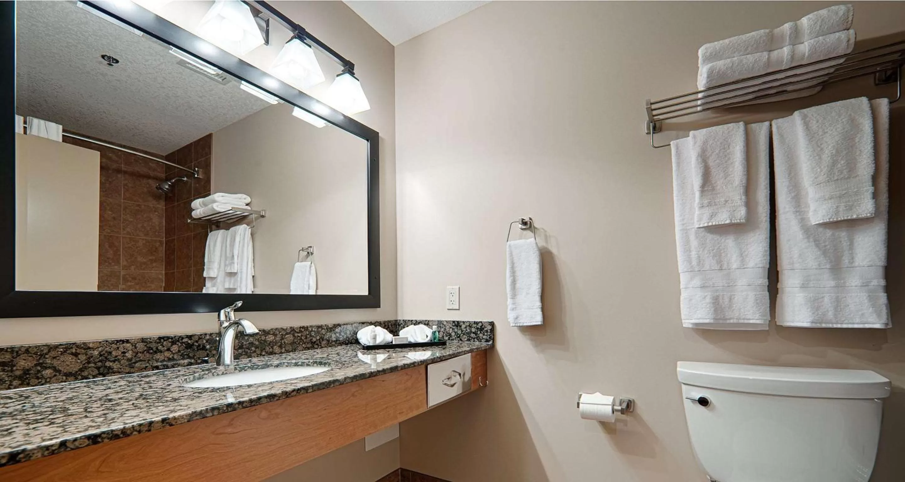 Bathroom in Best Western Plus Chateau Inn Sylvan Lake