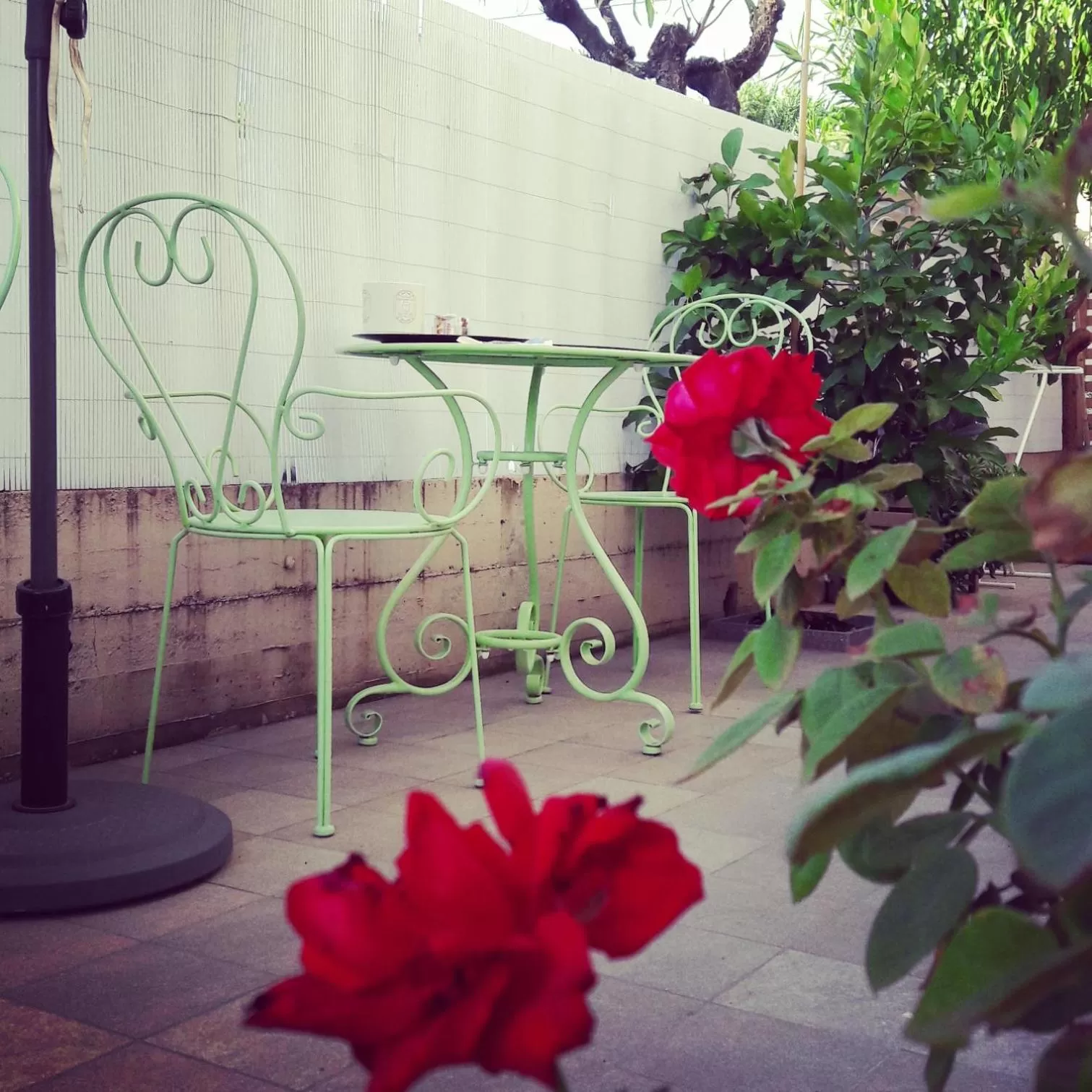 Garden in B&B Incanto sotto il mare