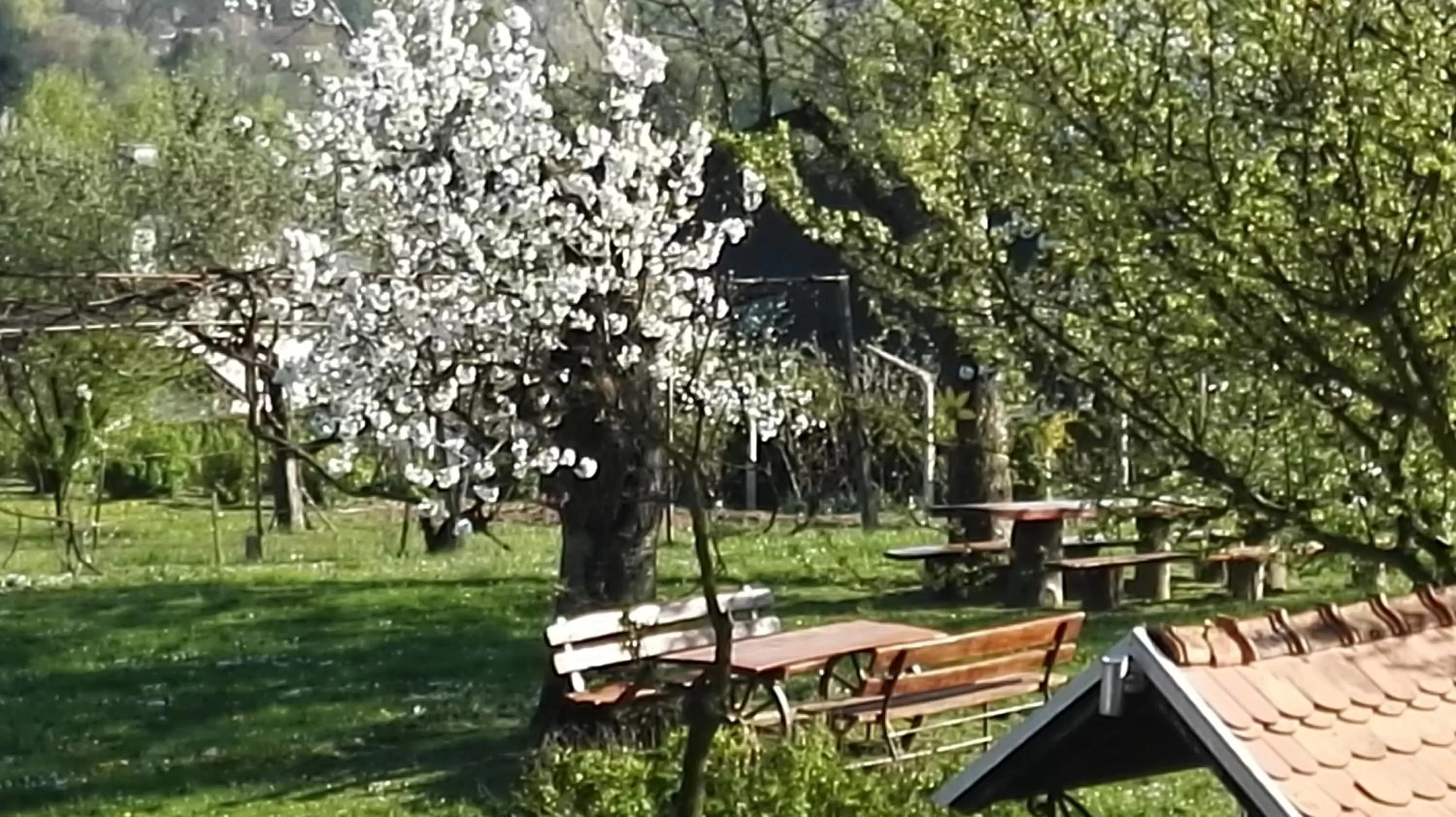 Children play ground in Panorama B&B