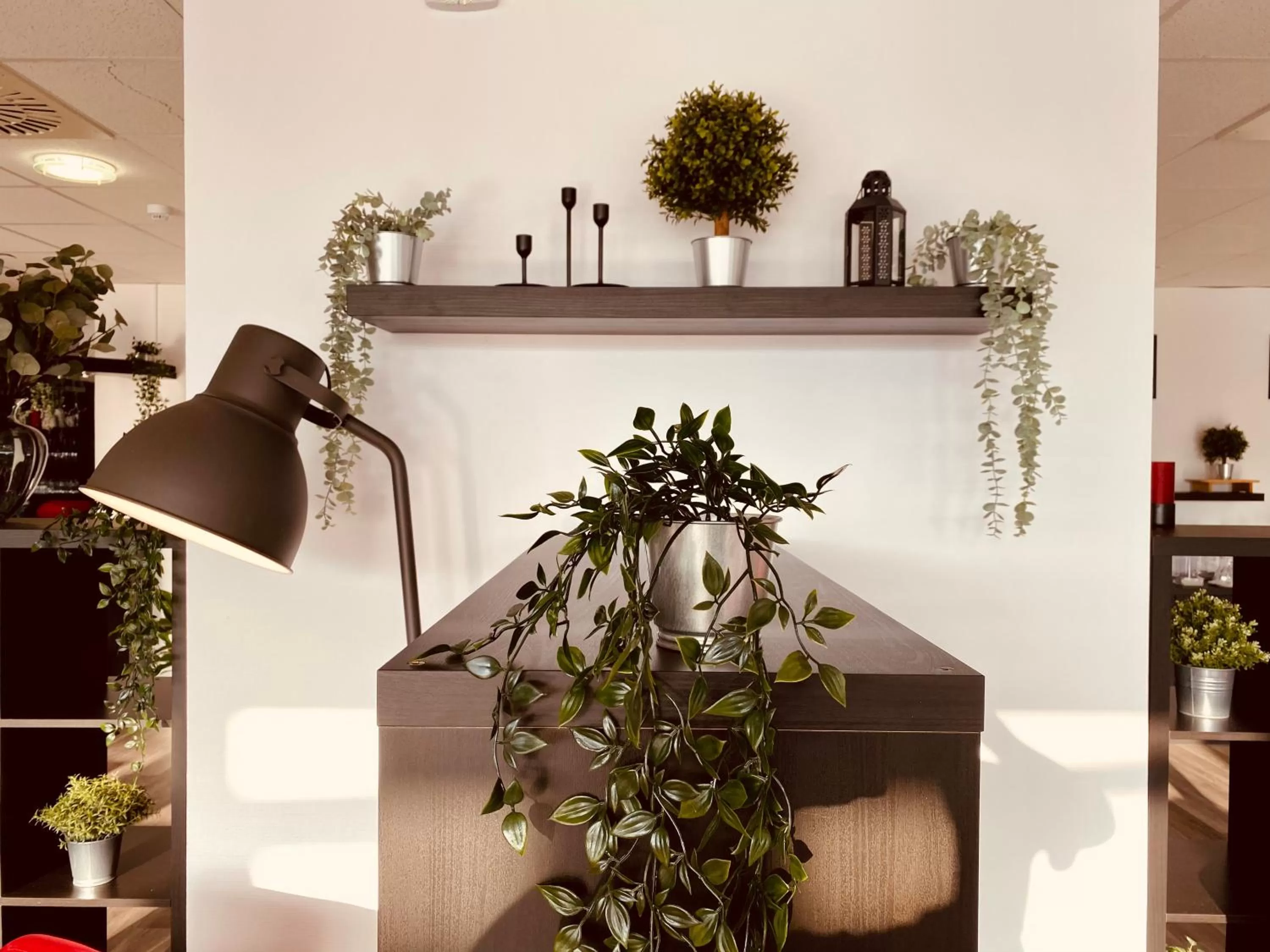 Restaurant/places to eat in DORMERO Hotel Bretten