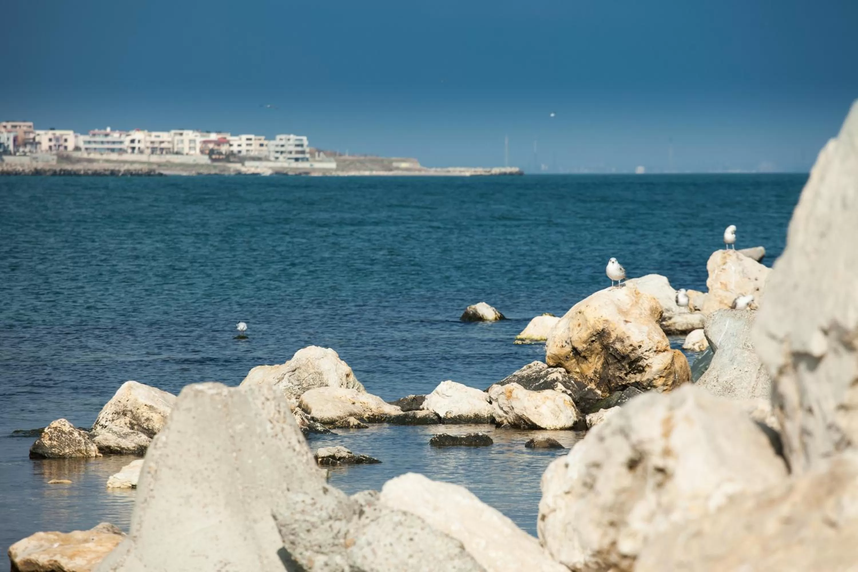 Area and facilities in Continental Forum Constanta