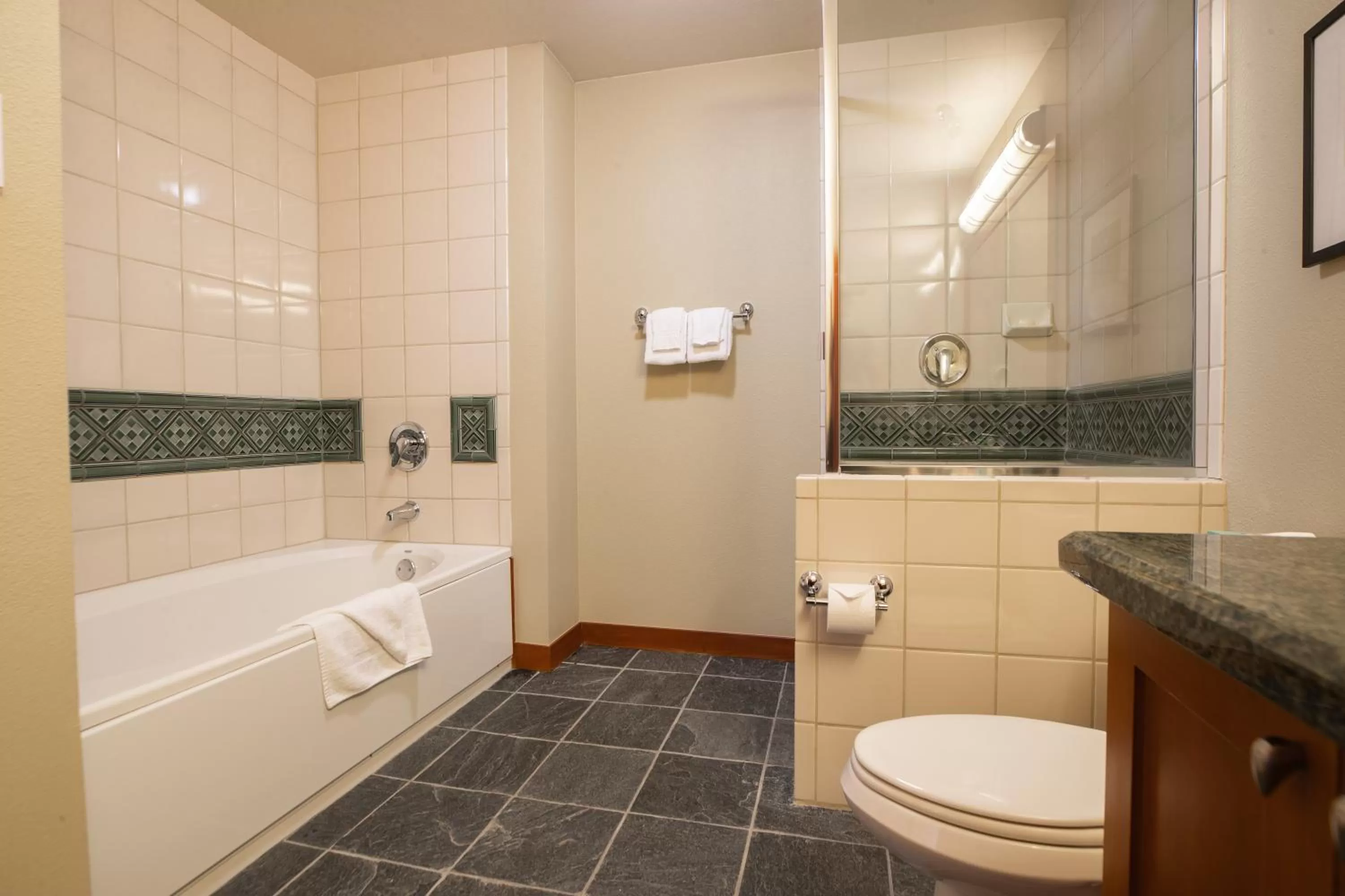 The Village at Palisades Tahoe