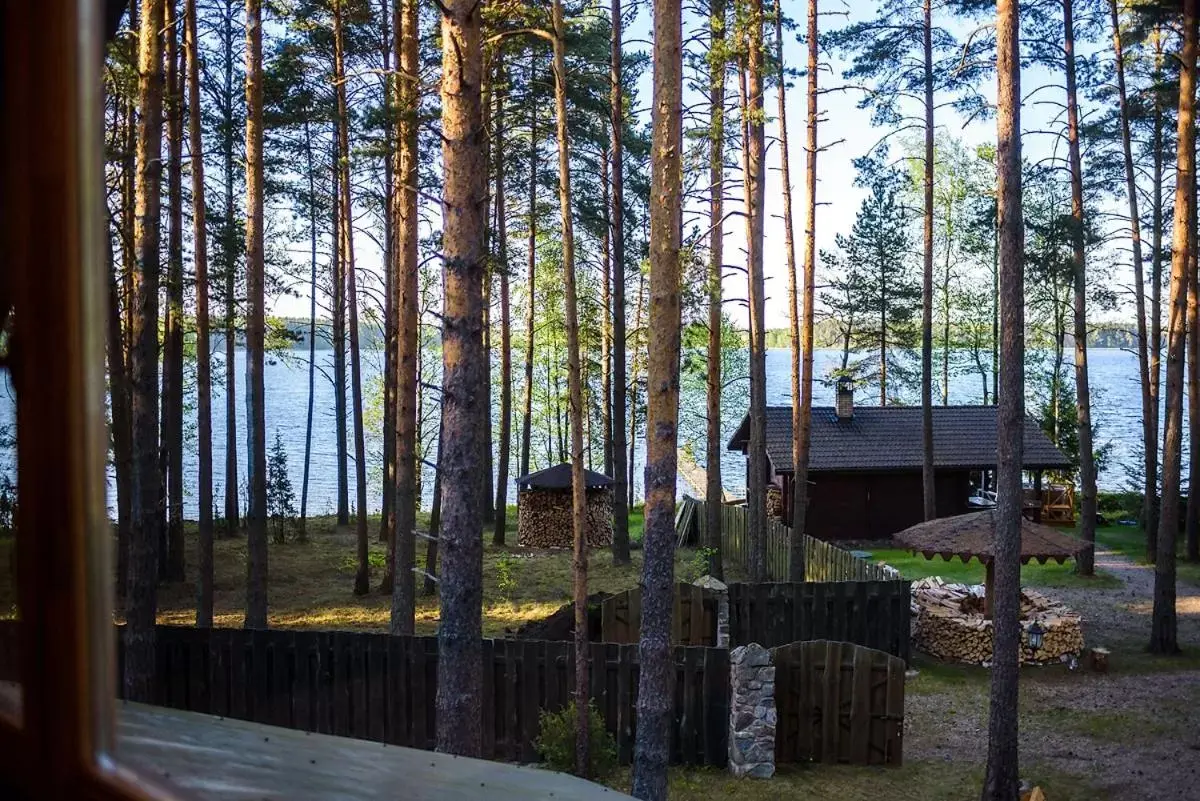 Large Double Room with Private Bathroom in Svečių namai Smalvas Large Double Room with Private Bathroom in Svečių namai Smalvas