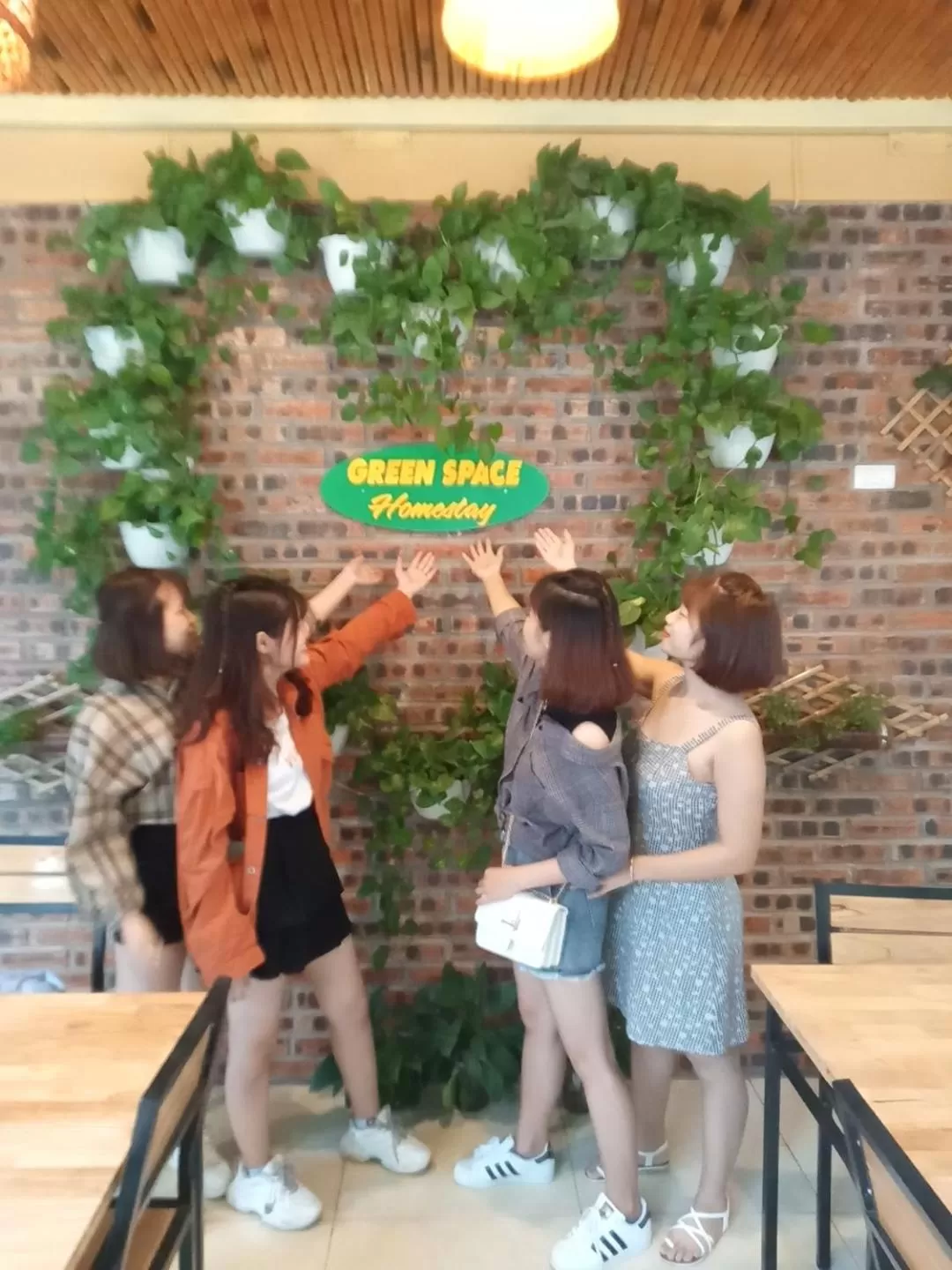 Lobby or reception in Green Space Homestay