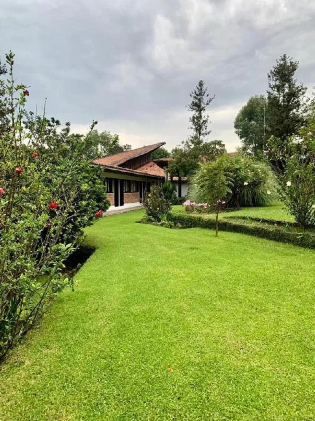 Garden, Property Building in San José Del Valle